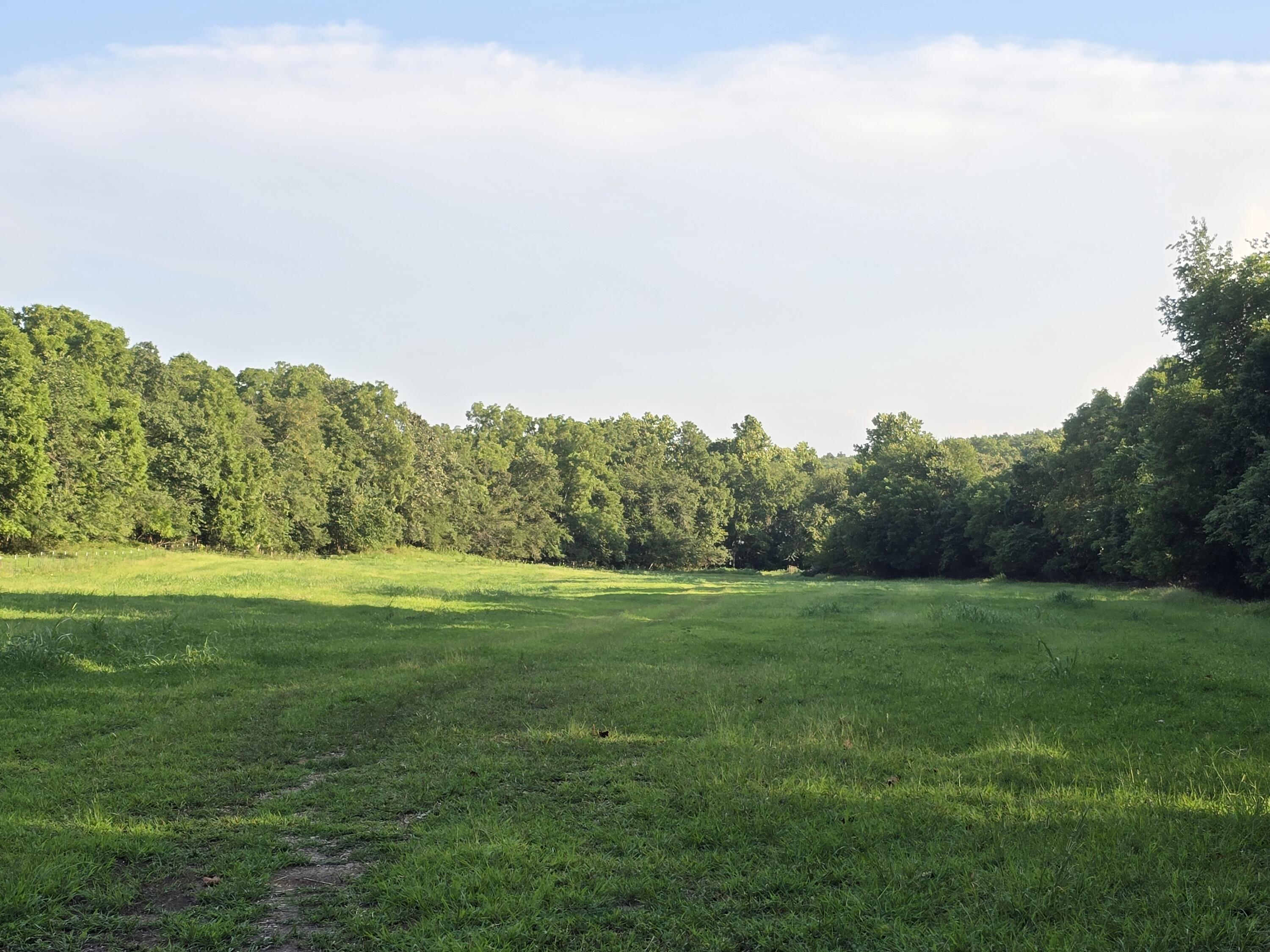 Photo 11 - Land for sale – 000  County Road 931   Thornfield, MO
