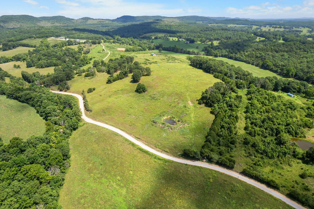 Photo 24 - Land for sale – 000  County Road 931   Thornfield, MO