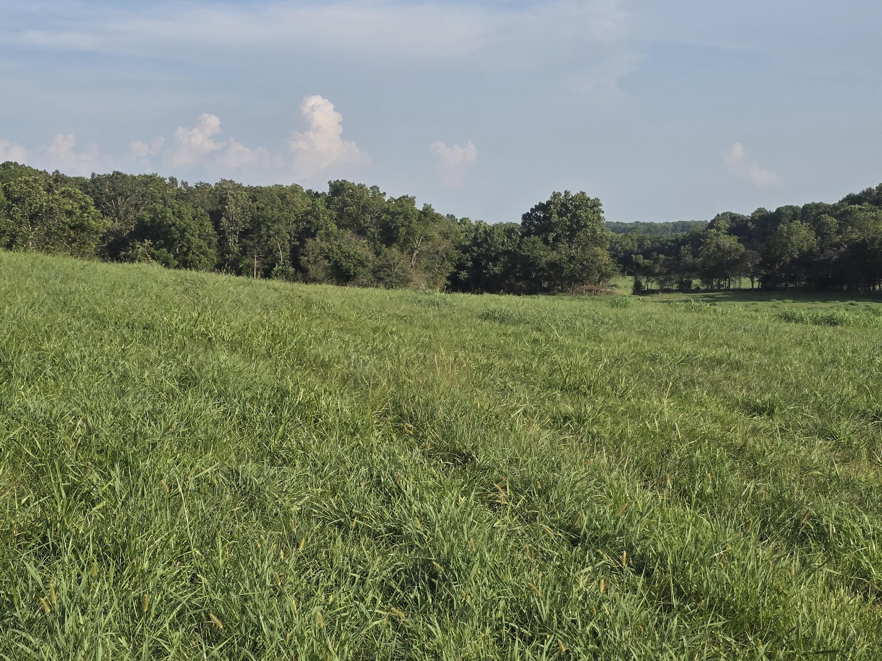 Photo 3 - Land for sale – 000  County Road 931   Thornfield, MO
