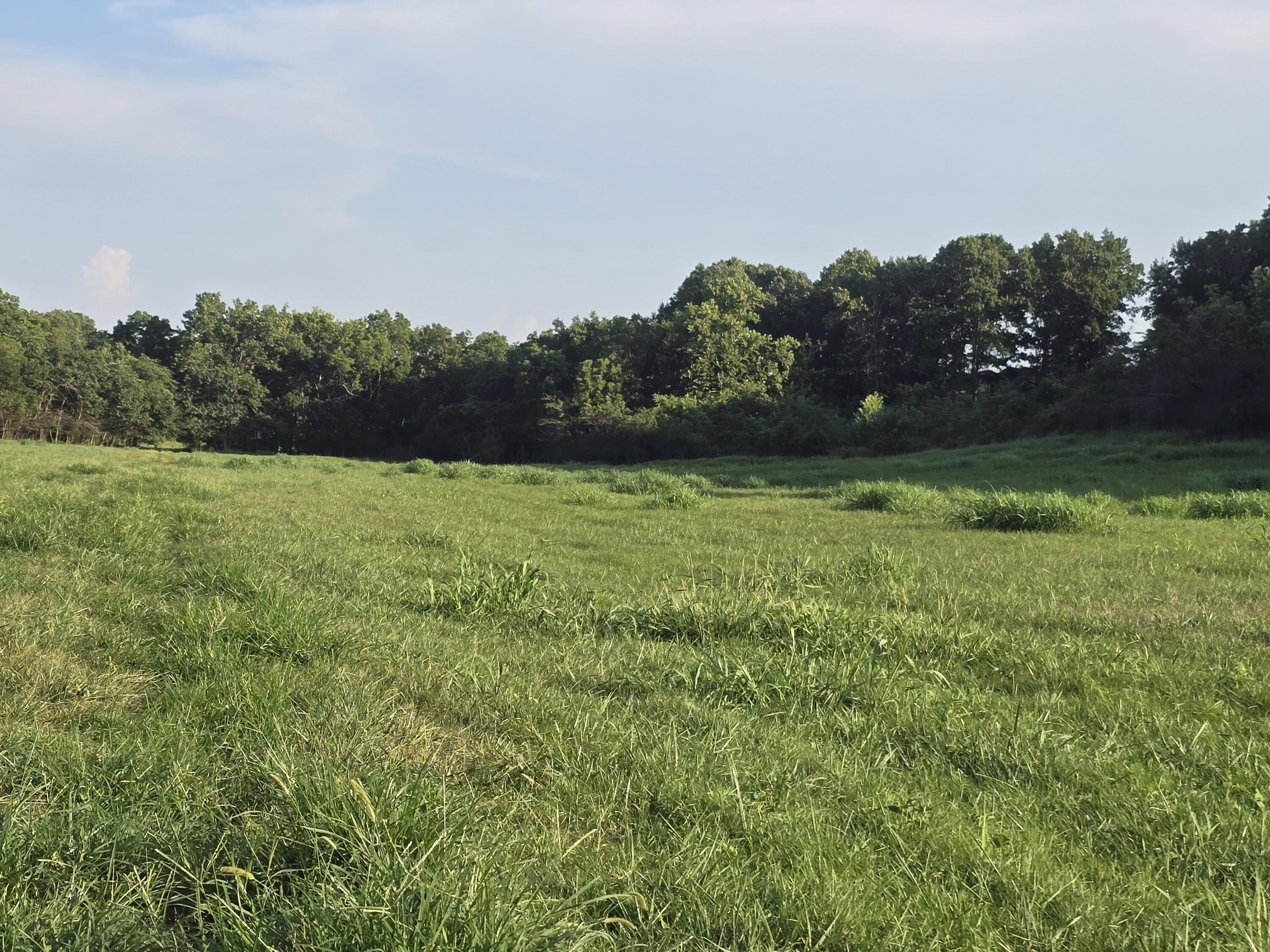 Photo 5 - Land for sale – 000  County Road 931   Thornfield, MO