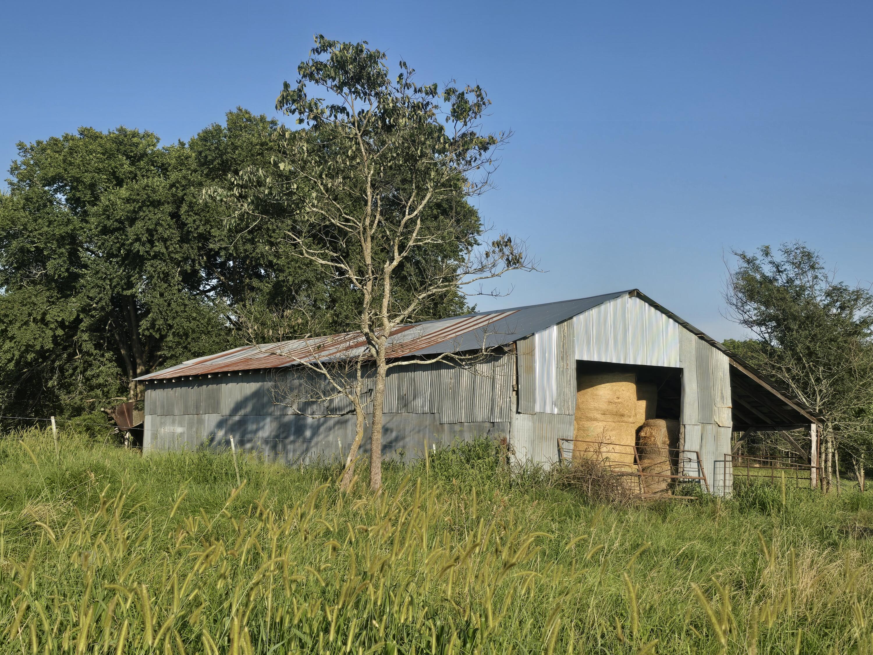 Photo 8 - Land for sale – 000  County Road 931   Thornfield, MO