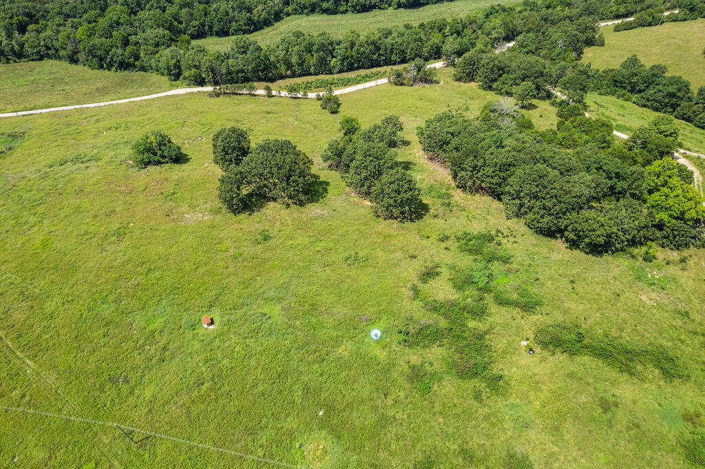 Photo 25 - Land for sale – 000  County Road 931   Thornfield, MO