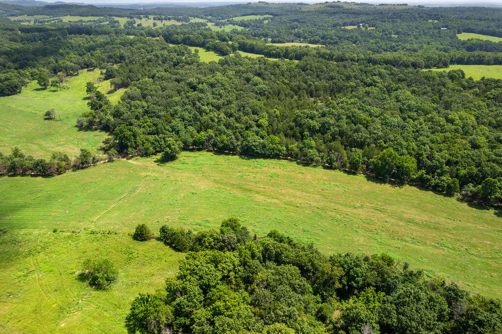 Photo 16 - Land for sale – 000  County Road 931   Thornfield, MO