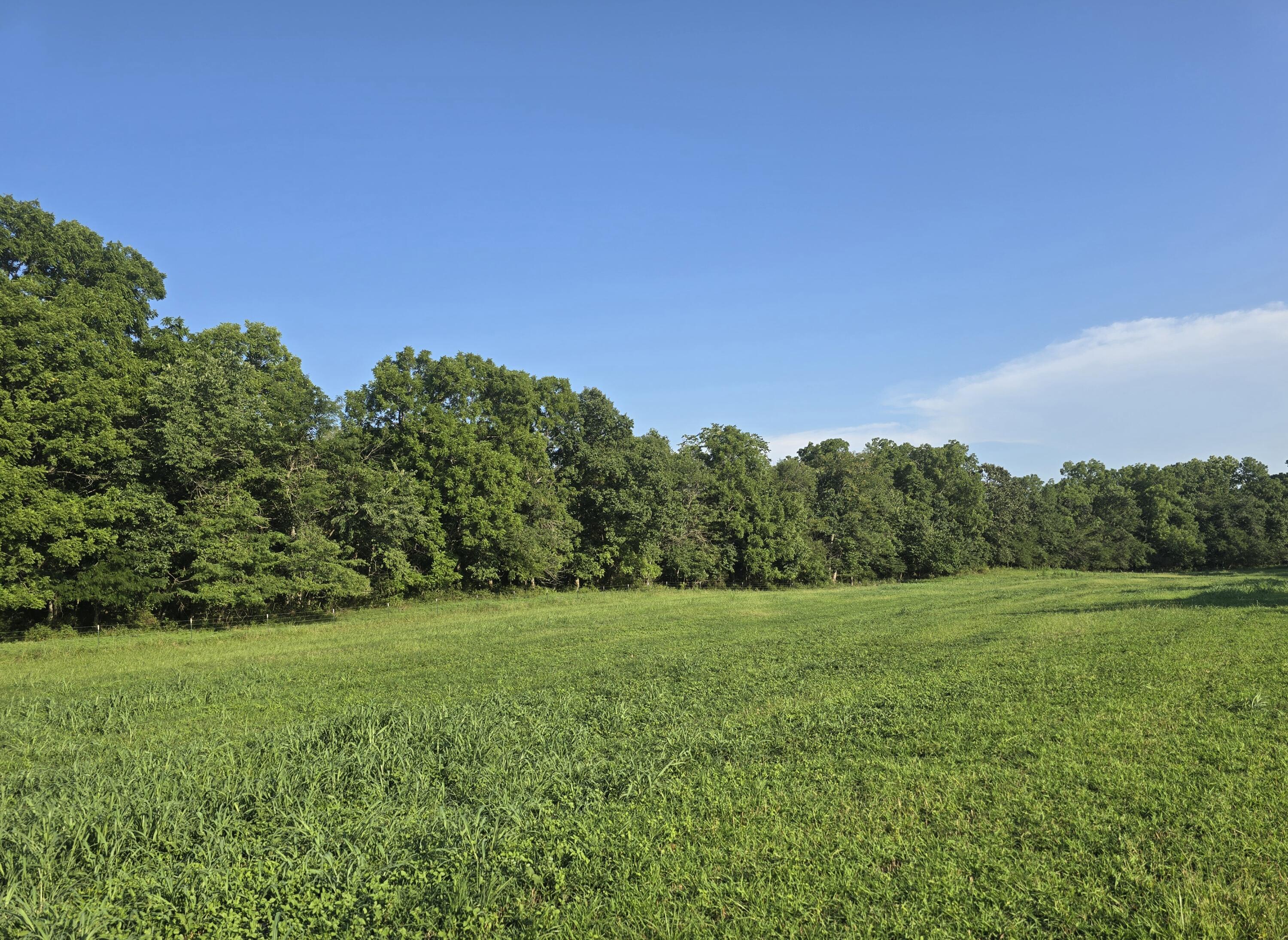 Photo 10 - Land for sale – 000  County Road 931   Thornfield, MO