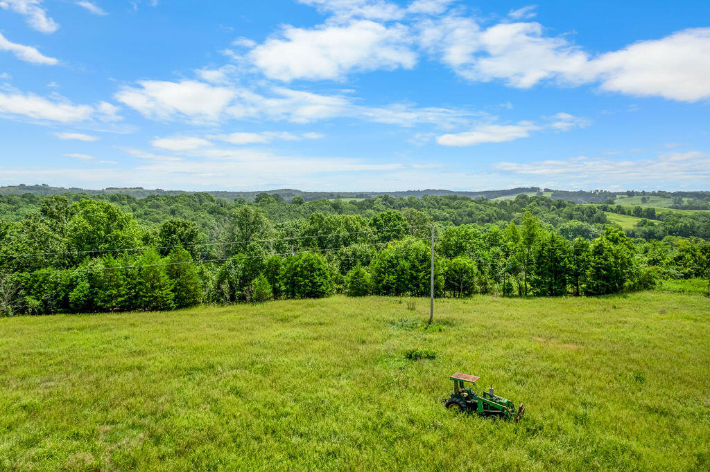 Photo 22 - Land for sale – 000  County Road 931   Thornfield, MO