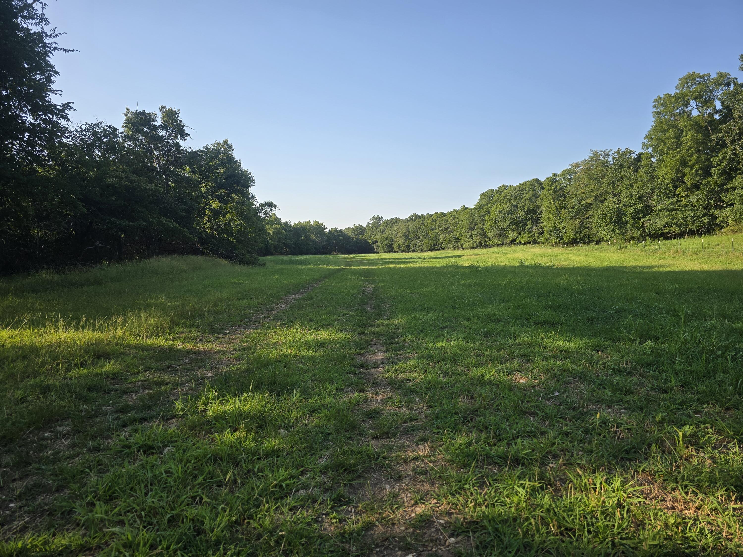 Photo 12 - Land for sale – 000  County Road 931   Thornfield, MO