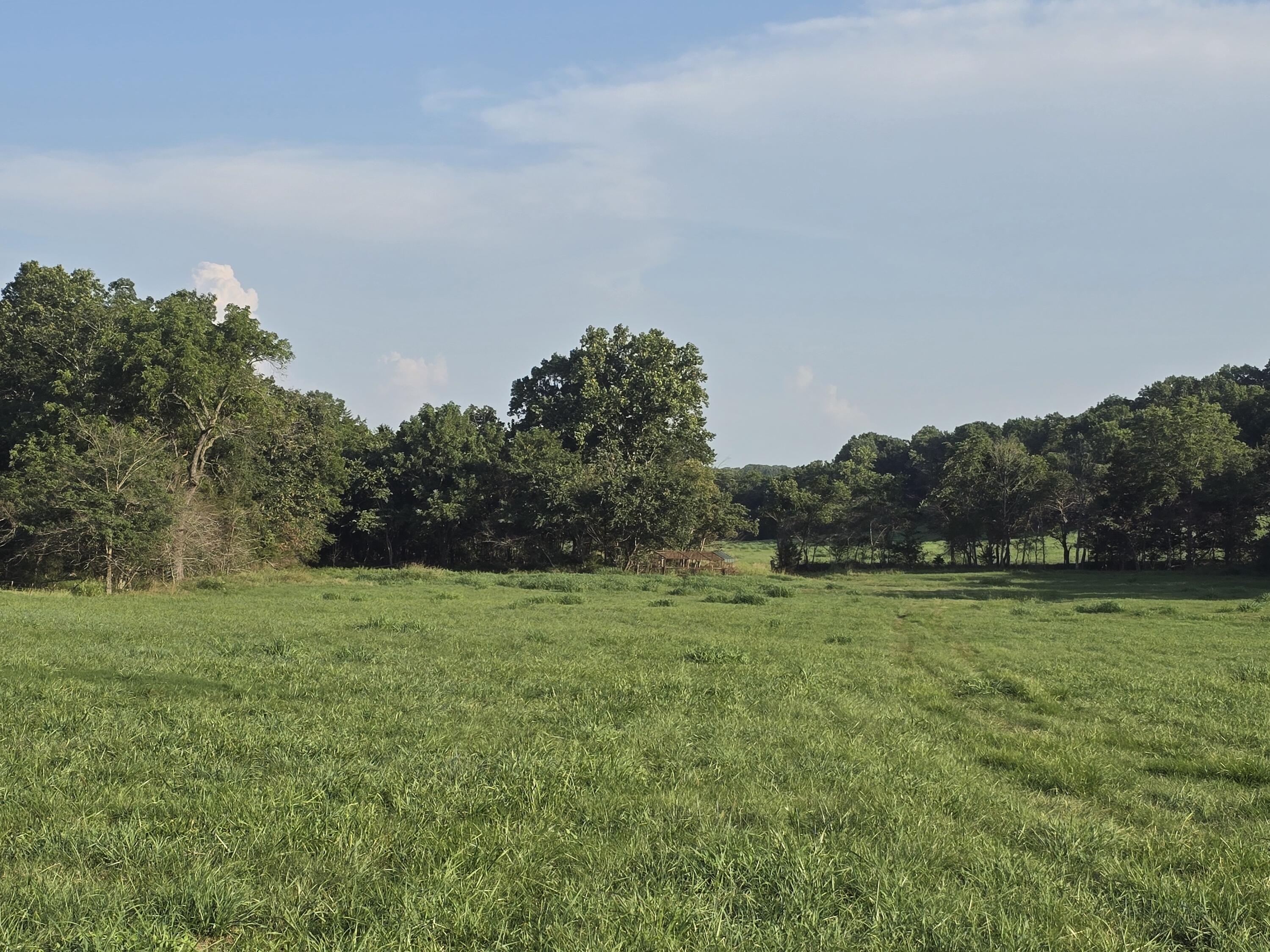 Photo 4 - Land for sale – 000  County Road 931   Thornfield, MO