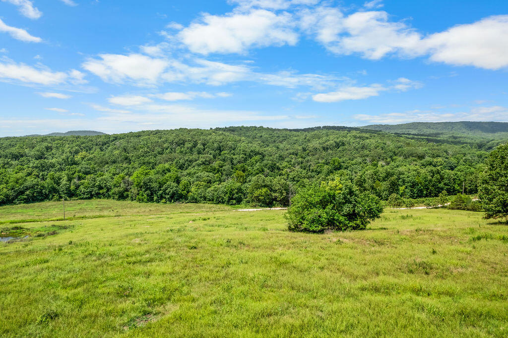 Photo 21 - Land for sale – 000  County Road 931   Thornfield, MO