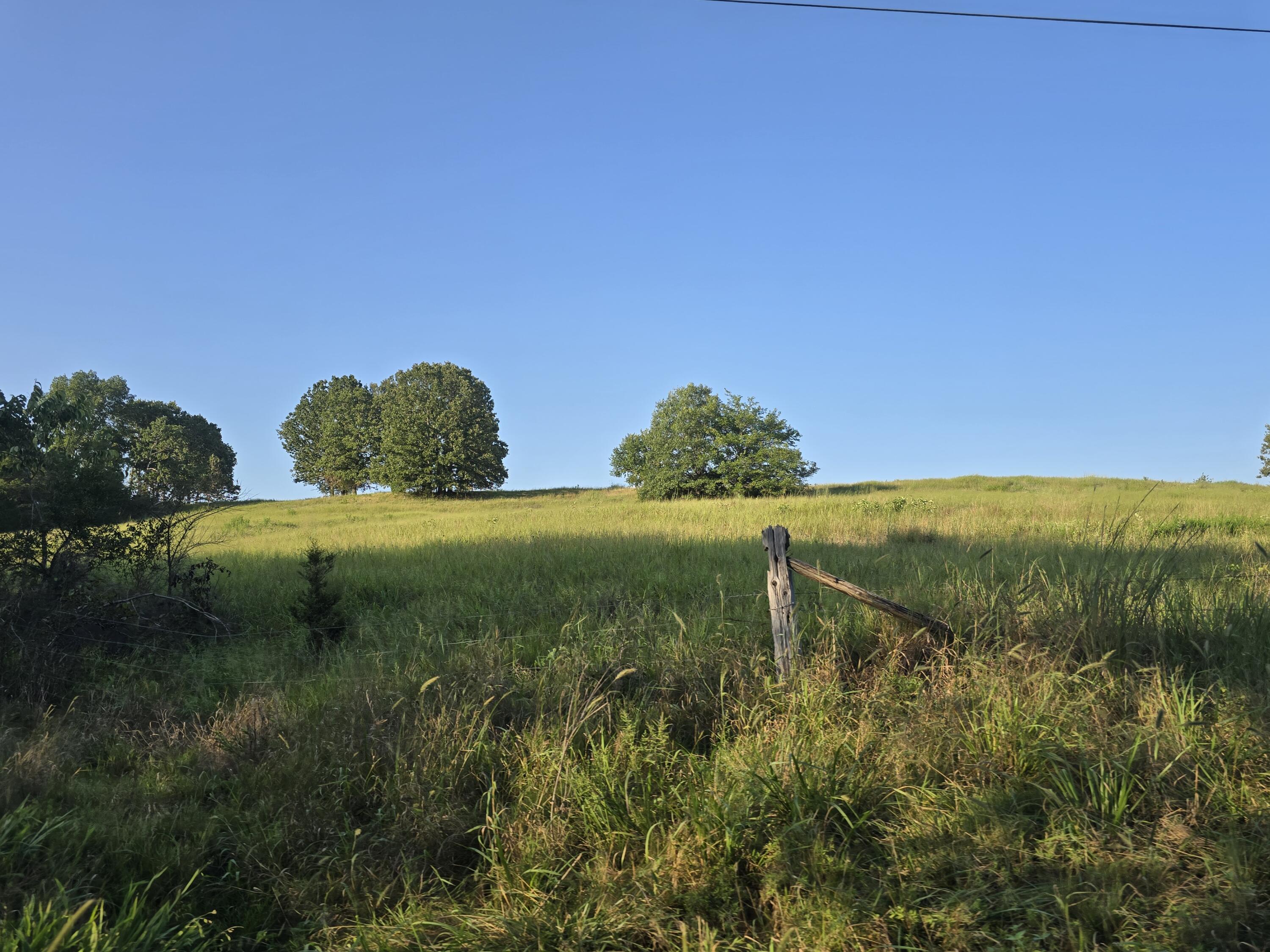Photo 19 - Land for sale – 000  County Road 931   Thornfield, MO