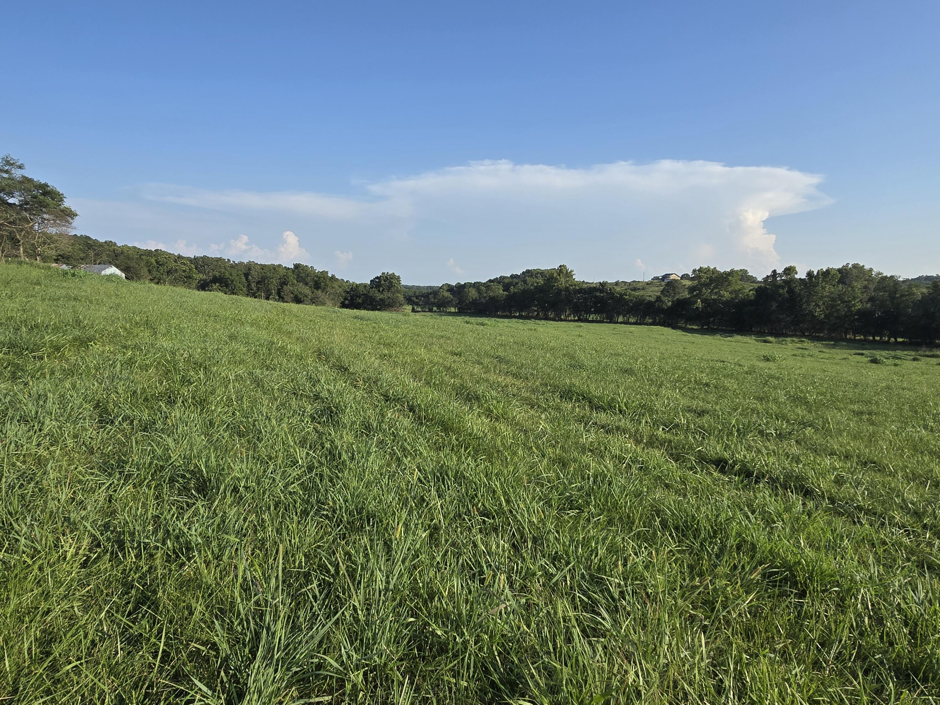 Photo 9 - Land for sale – 000  County Road 931   Thornfield, MO