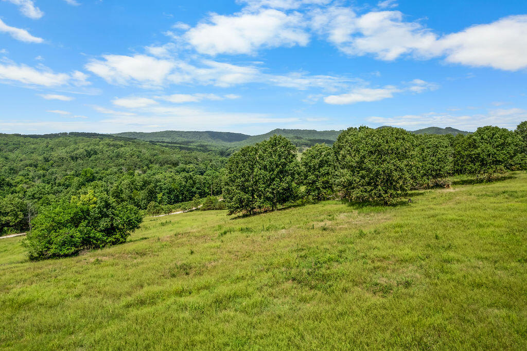 Photo 20 - Land for sale – 000  County Road 931   Thornfield, MO