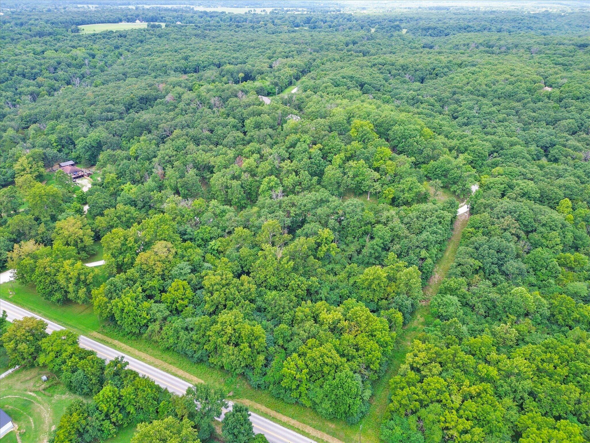 Photo 45 - Residential for sale – 1054 E Preston Lane  Pleasant Hope, MO