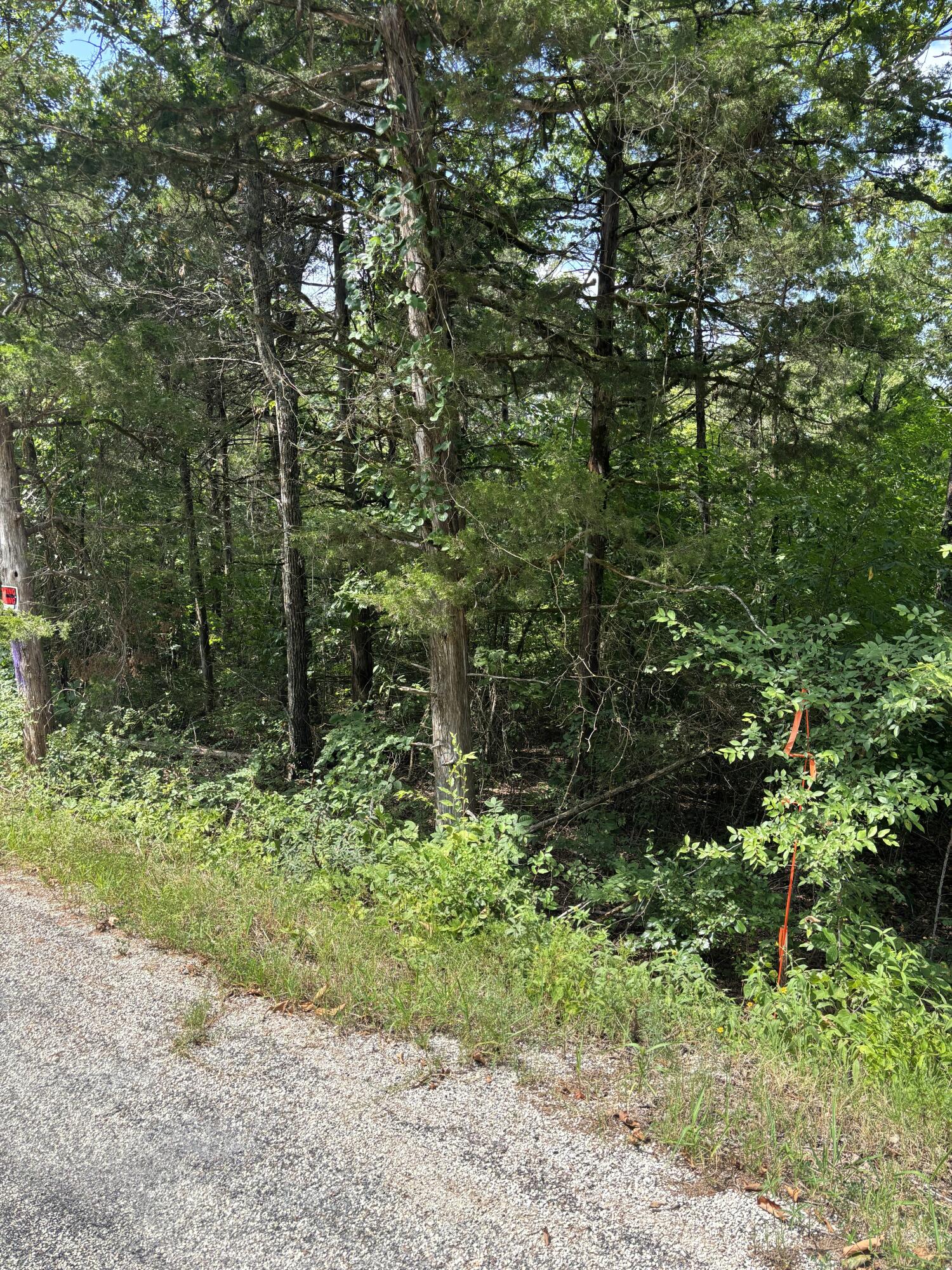 Photo 18 - Land for sale – 000  Persinger Road  Cedarcreek, MO