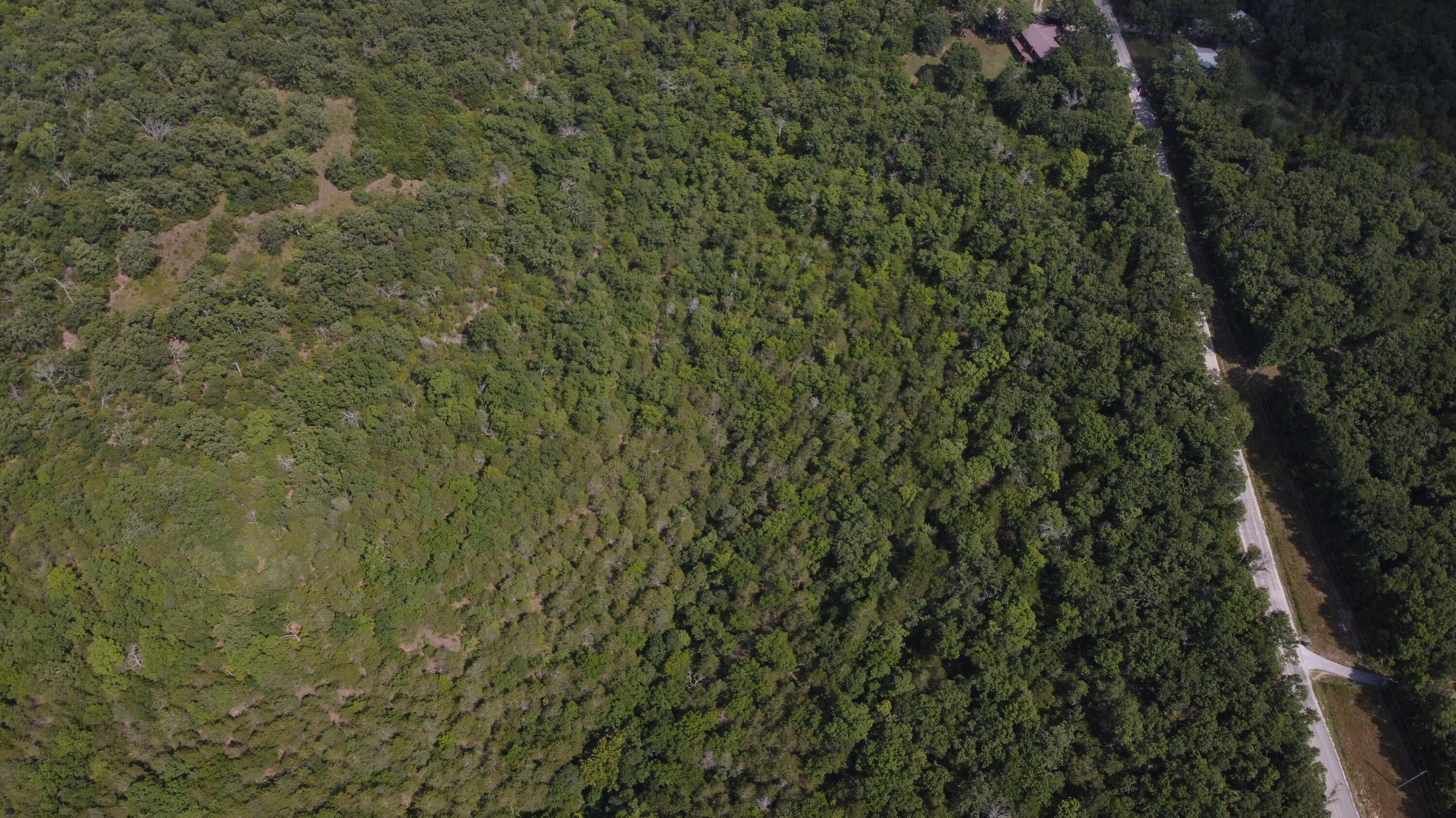 Photo 6 - Land for sale – 000  Persinger Road  Cedarcreek, MO