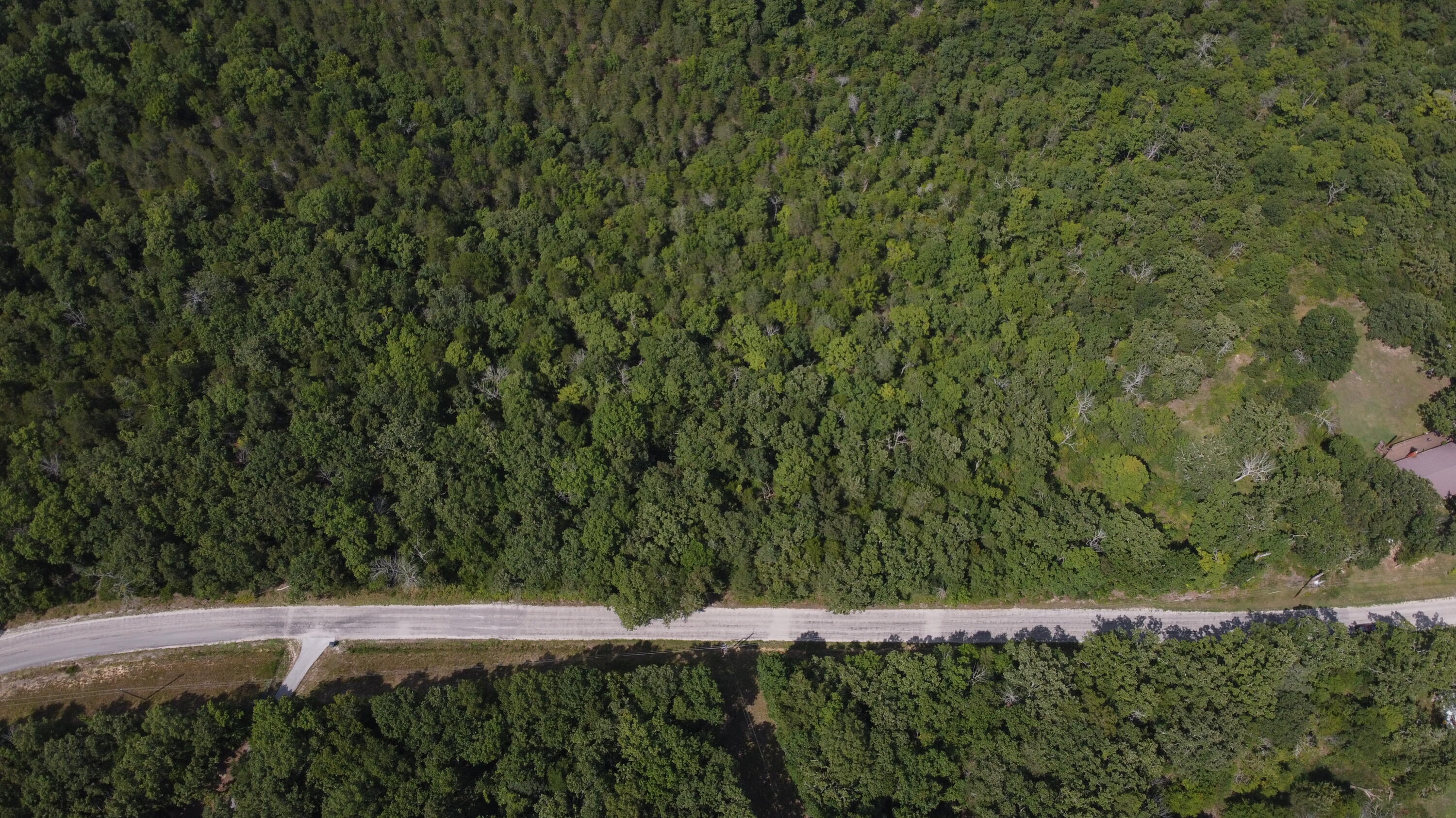 Photo 7 - Land for sale – 000  Persinger Road  Cedarcreek, MO