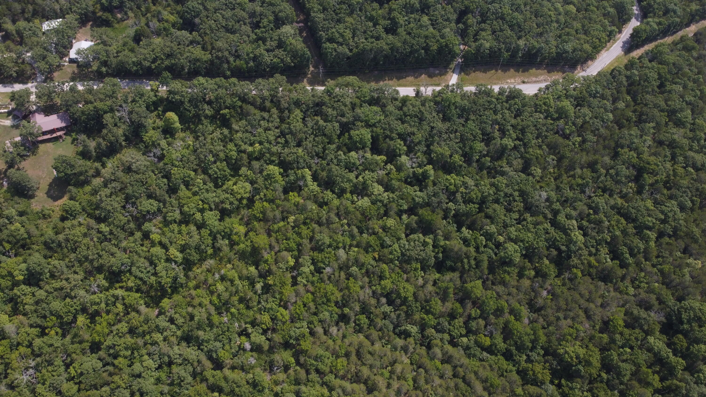 Photo 10 - Land for sale – 000  Persinger Road  Cedarcreek, MO