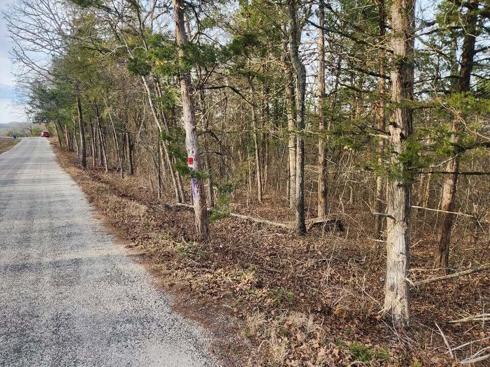 Photo 16 - Land for sale – 000  Persinger Road  Cedarcreek, MO