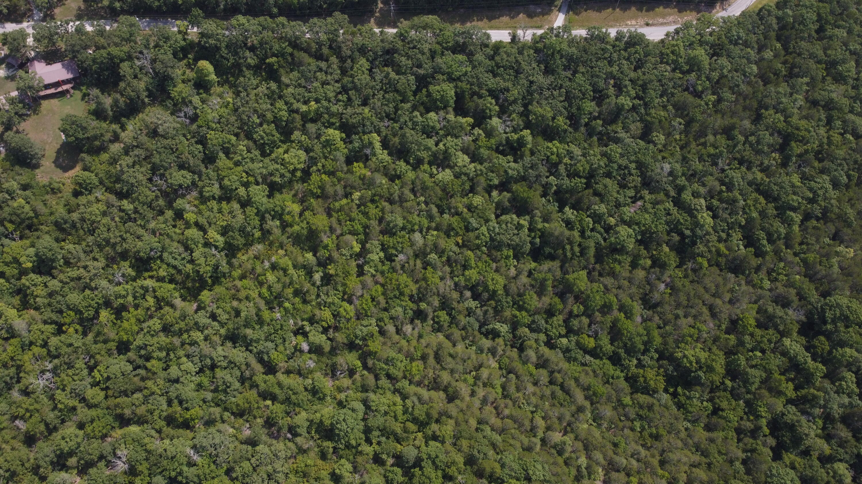 Photo 9 - Land for sale – 000  Persinger Road  Cedarcreek, MO