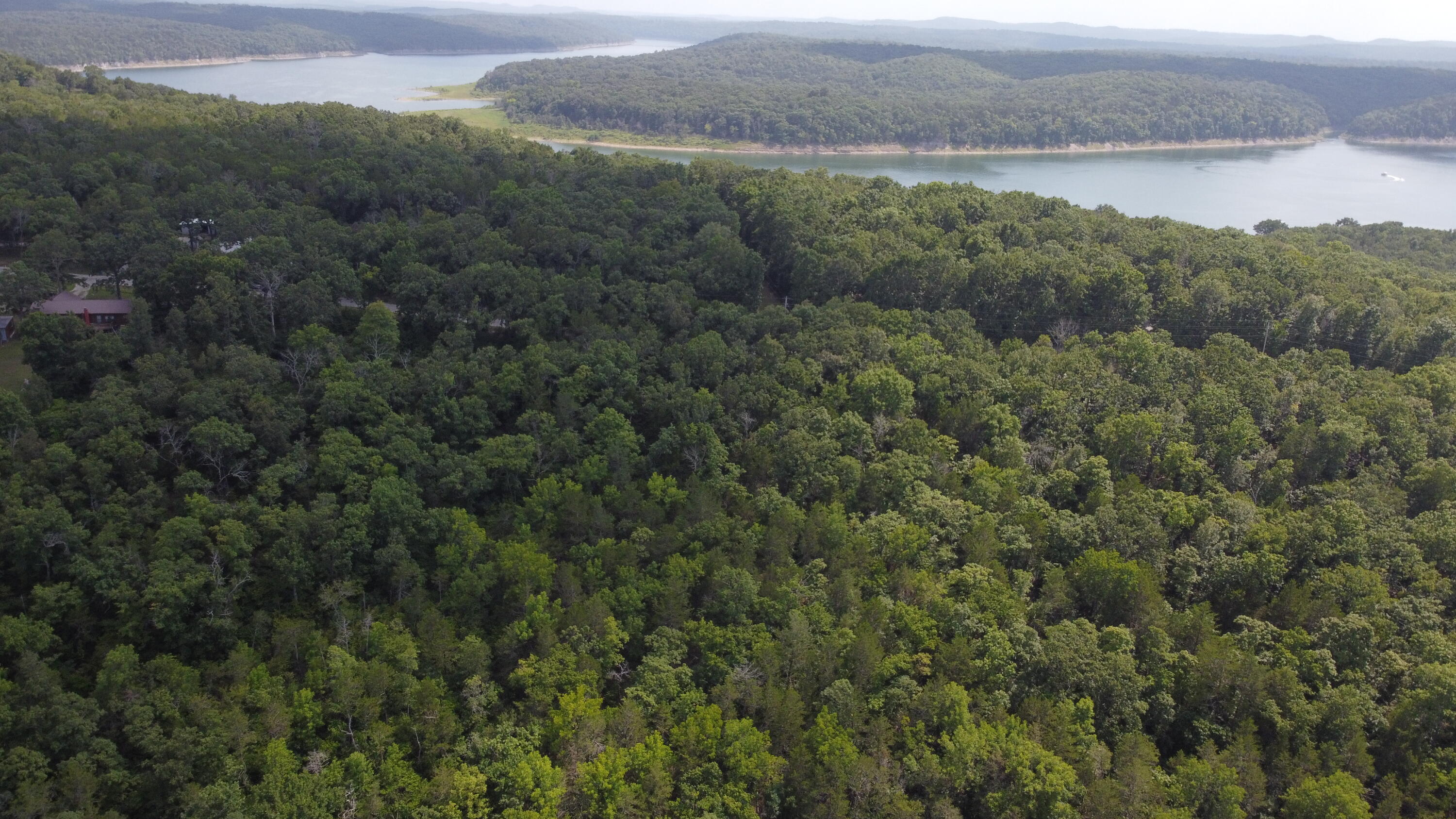 Photo 2 - Land for sale – 000  Persinger Road  Cedarcreek, MO