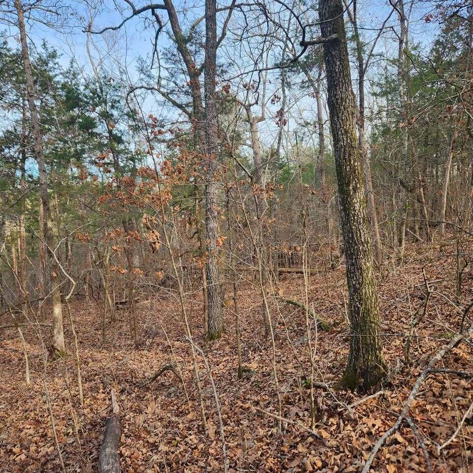 Photo 13 - Land for sale – 000  Persinger Road  Cedarcreek, MO