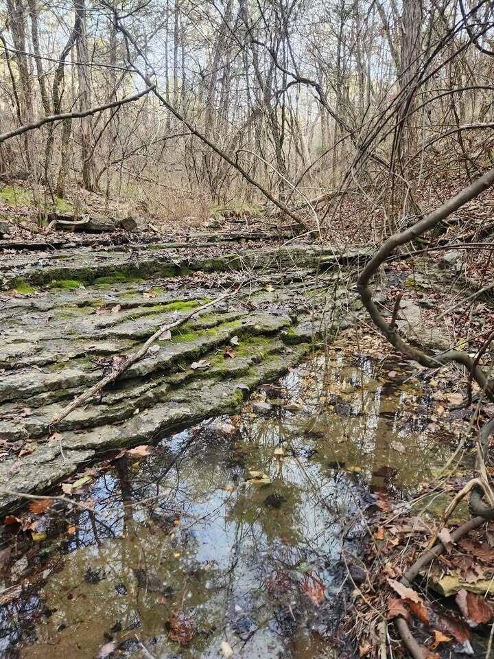 Photo 5 - Land for sale – 000  Persinger Road  Cedarcreek, MO