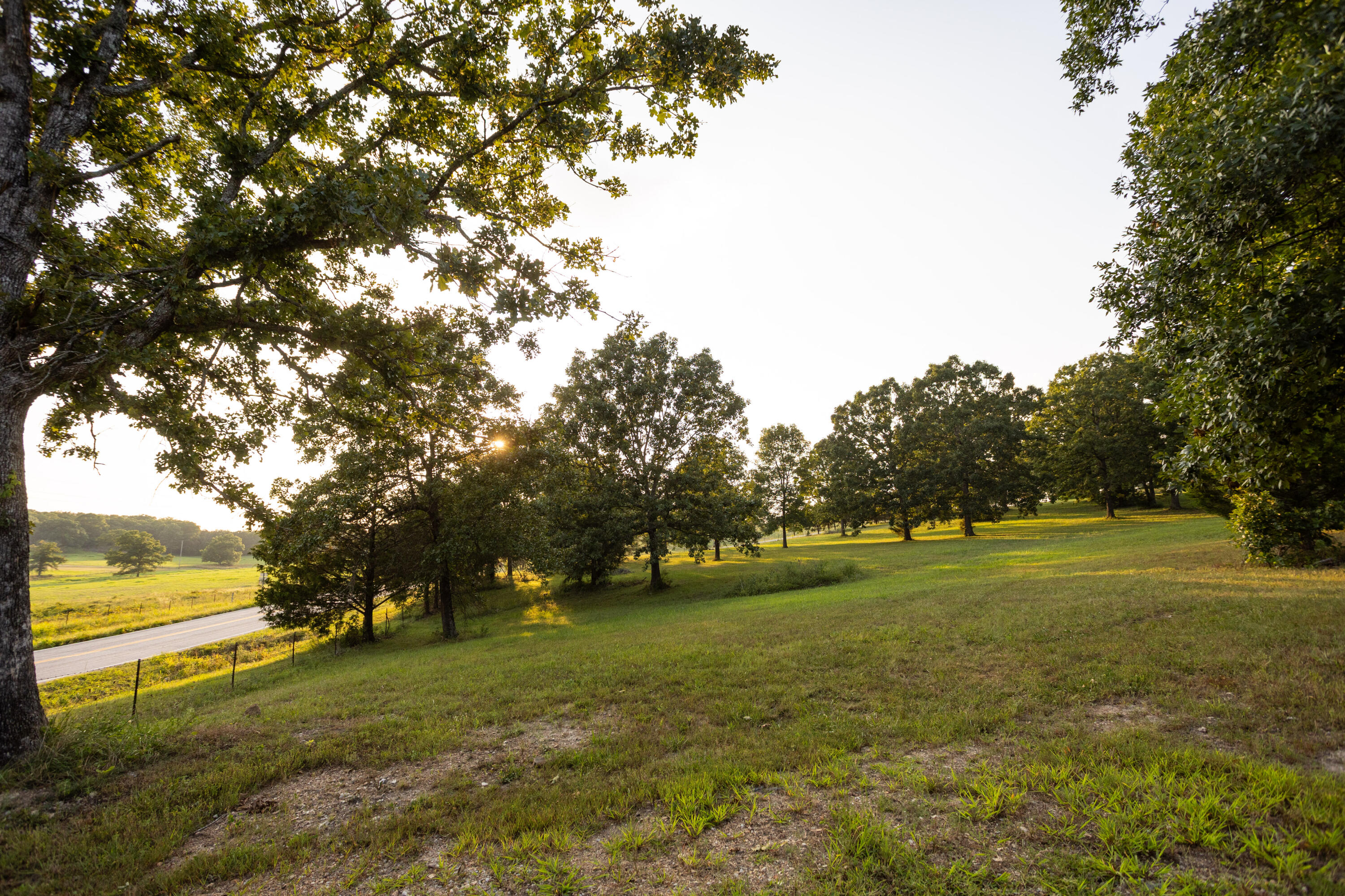 Photo 27 - Land for sale – 000  Missouri 125 S   Garrison, MO