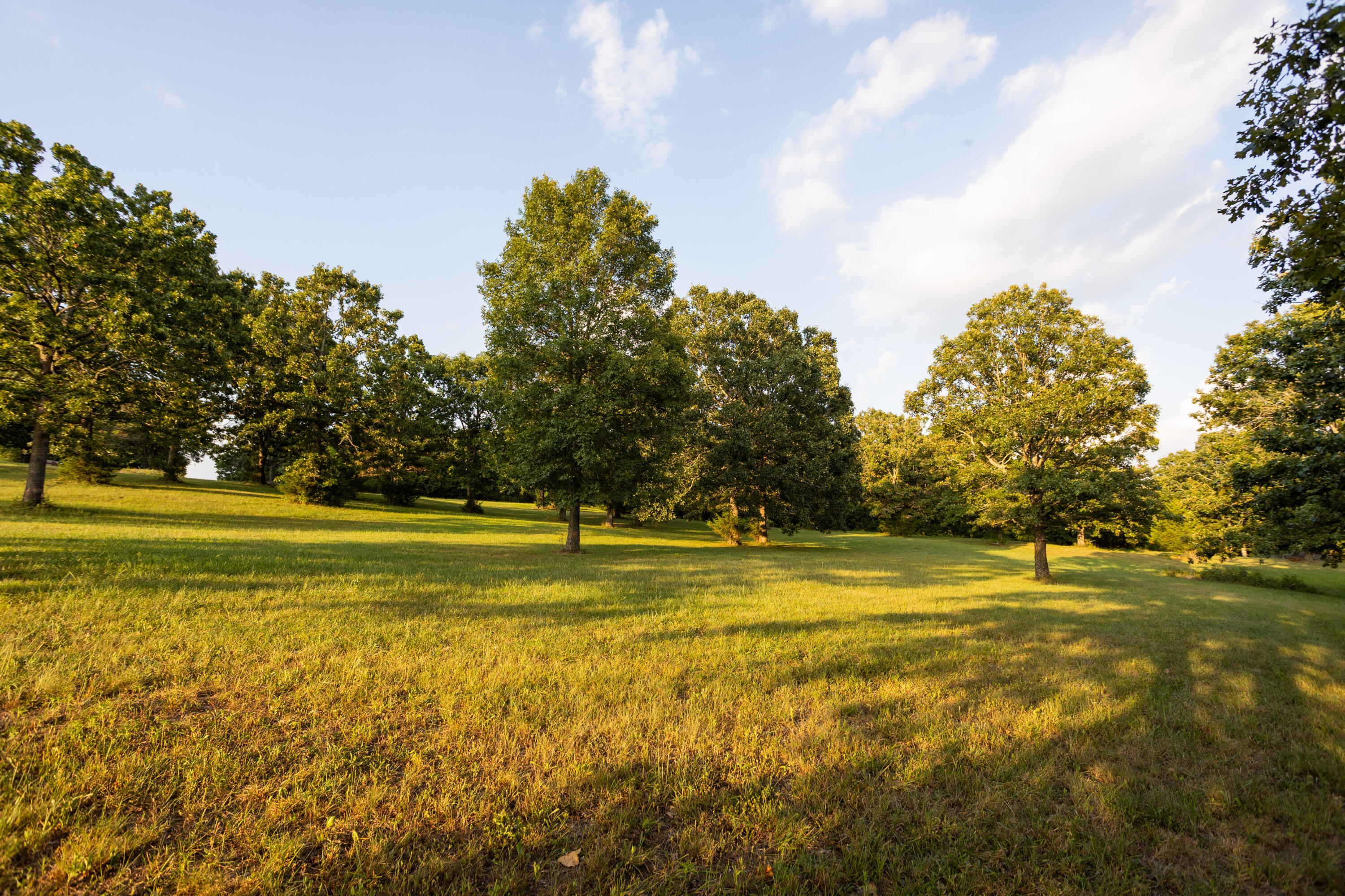 Photo 21 - Land for sale – 000  Missouri 125 S   Garrison, MO