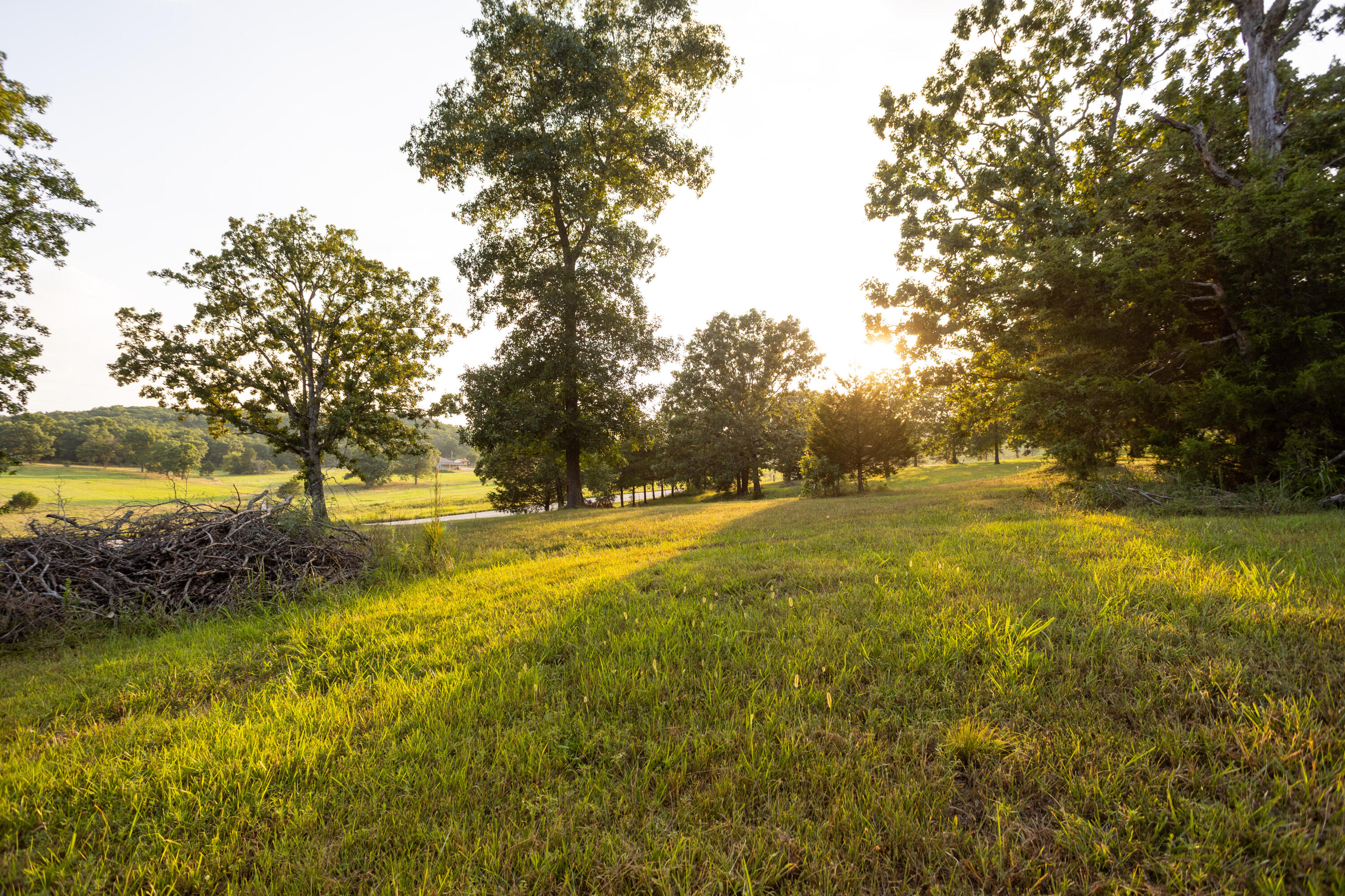Photo 26 - Land for sale – 000  Missouri 125 S   Garrison, MO