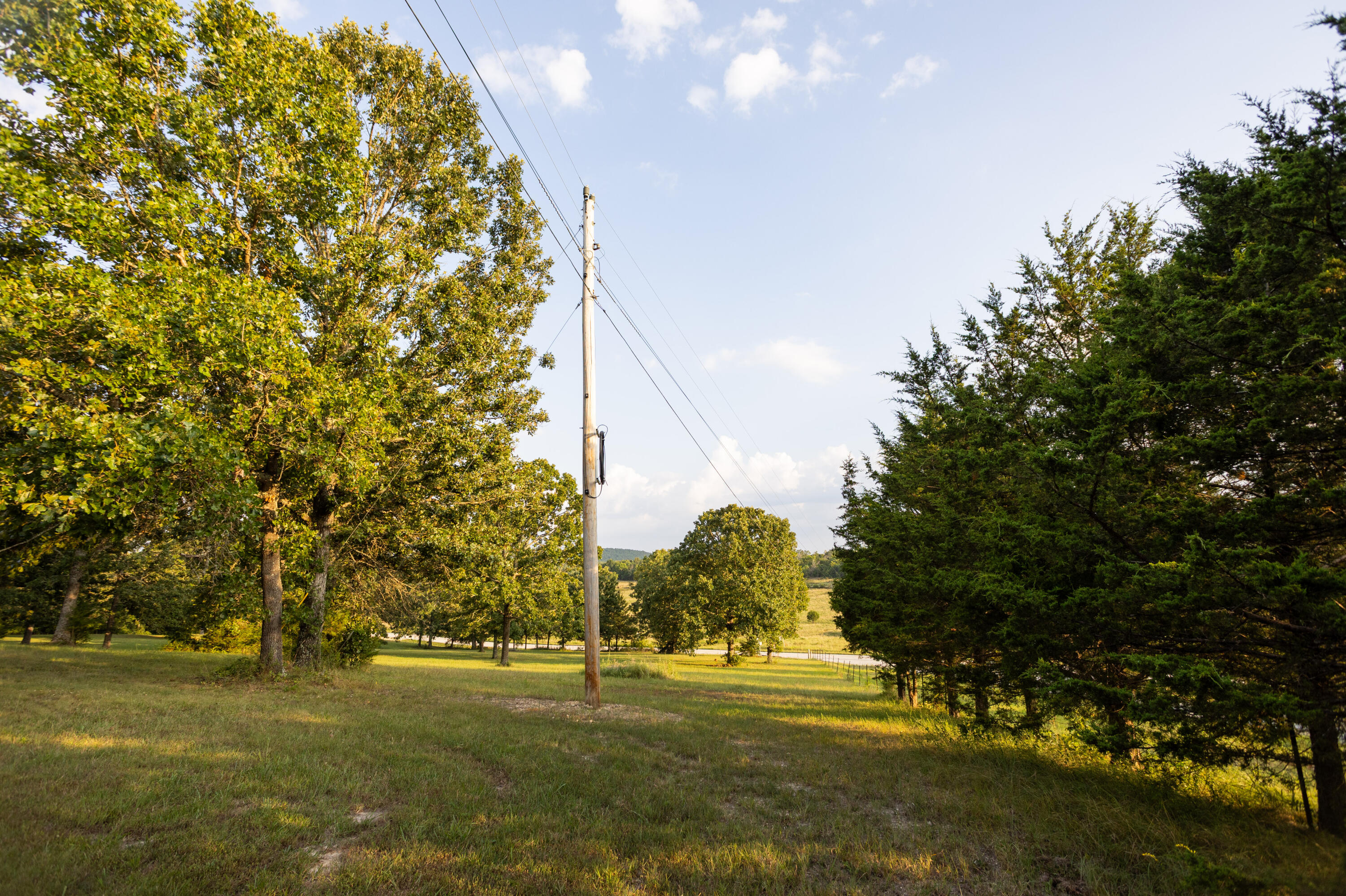 Photo 7 - Land for sale – 000  Missouri 125 S   Garrison, MO