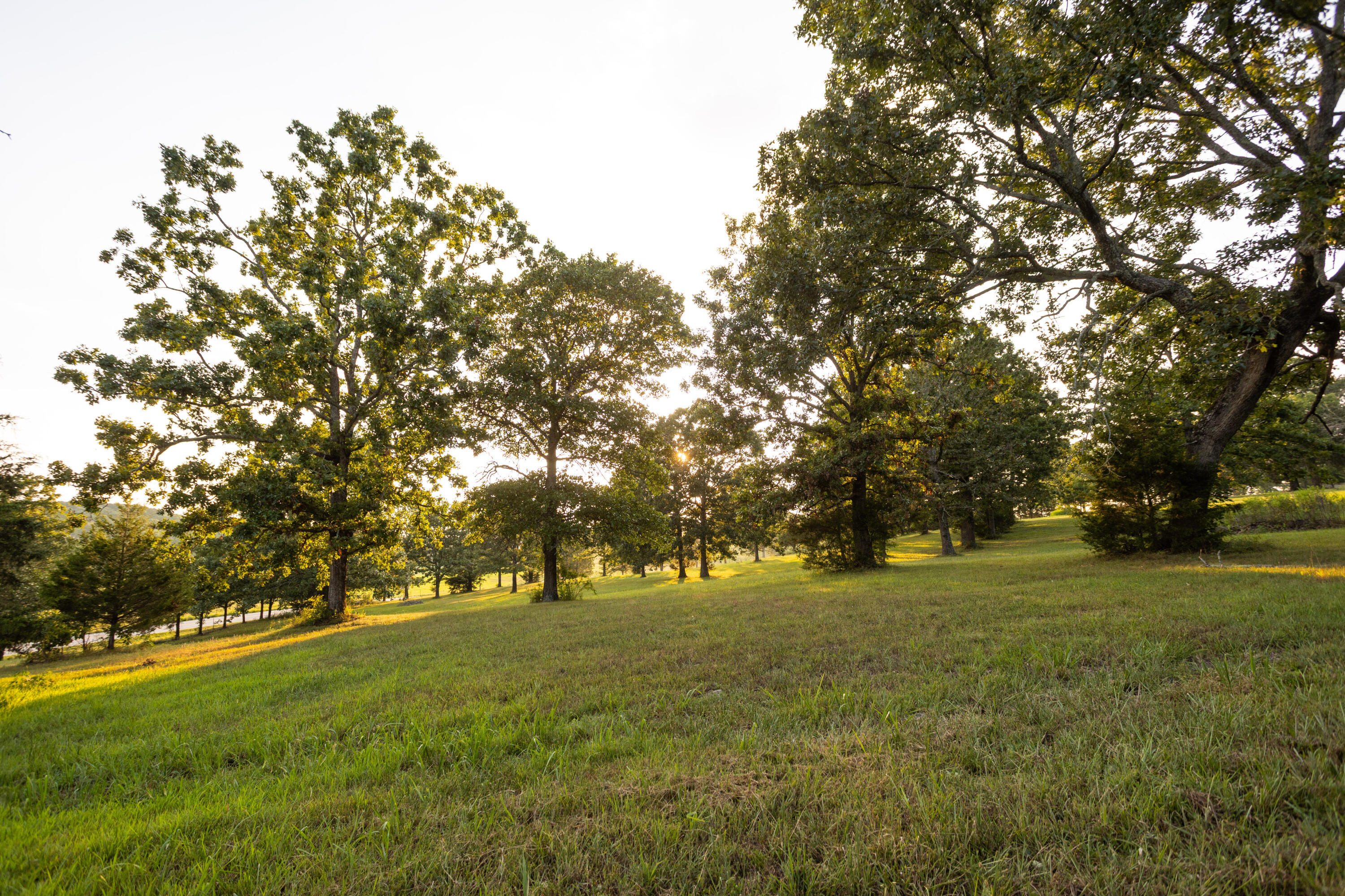 Photo 23 - Land for sale – 000  Missouri 125 S   Garrison, MO