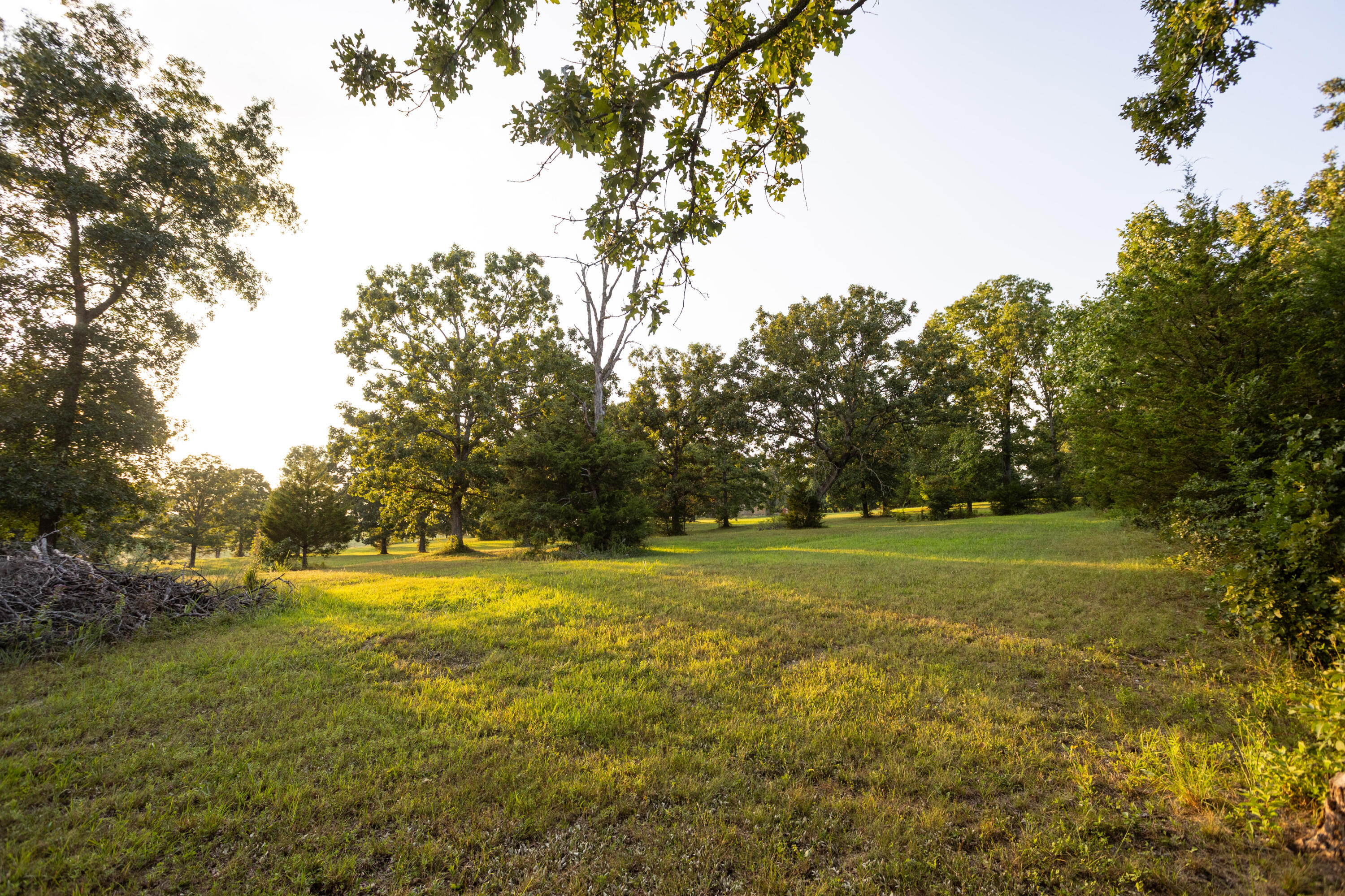 Photo 25 - Land for sale – 000  Missouri 125 S   Garrison, MO