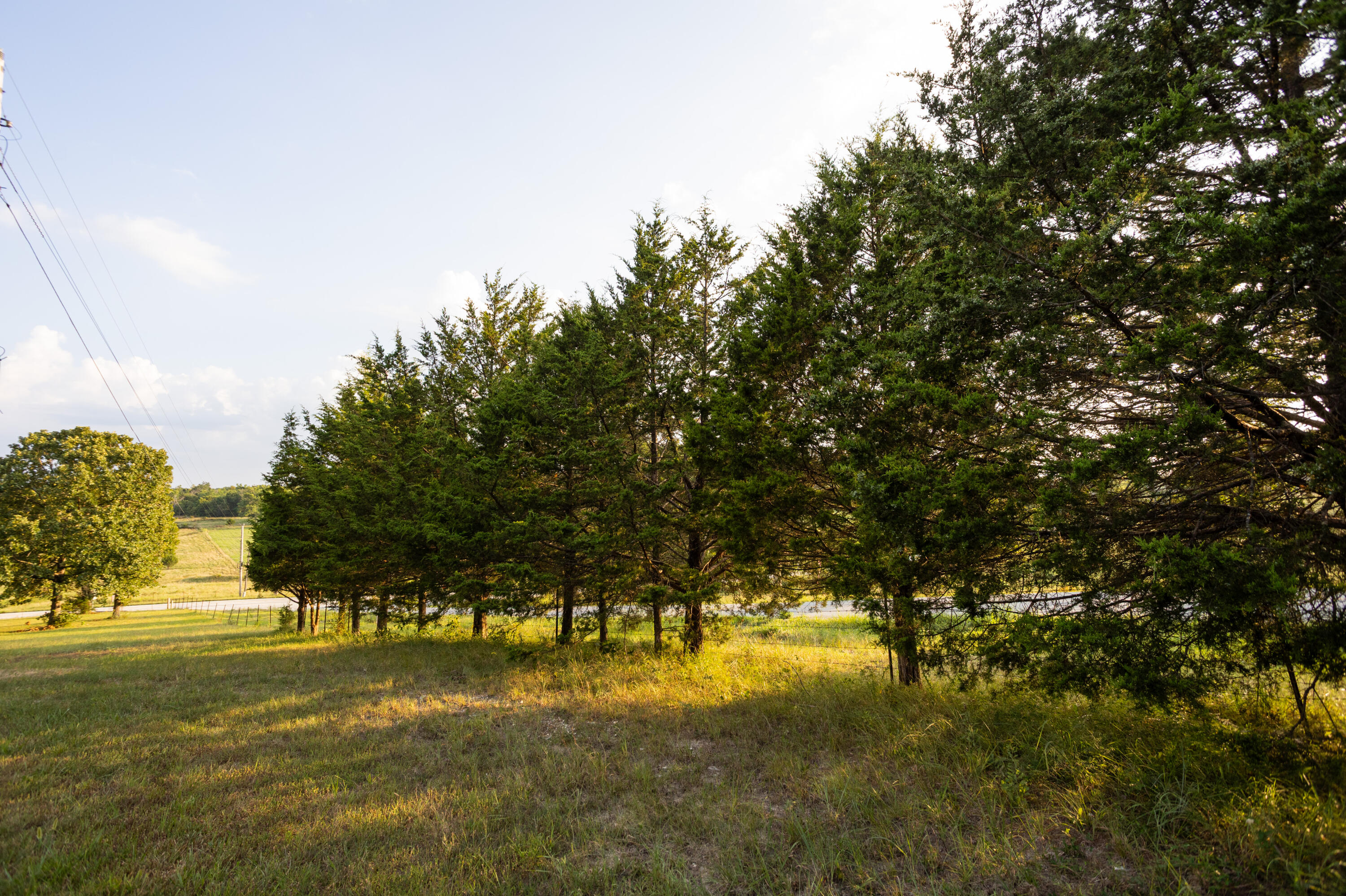 Photo 19 - Land for sale – 000  Missouri 125 S   Garrison, MO