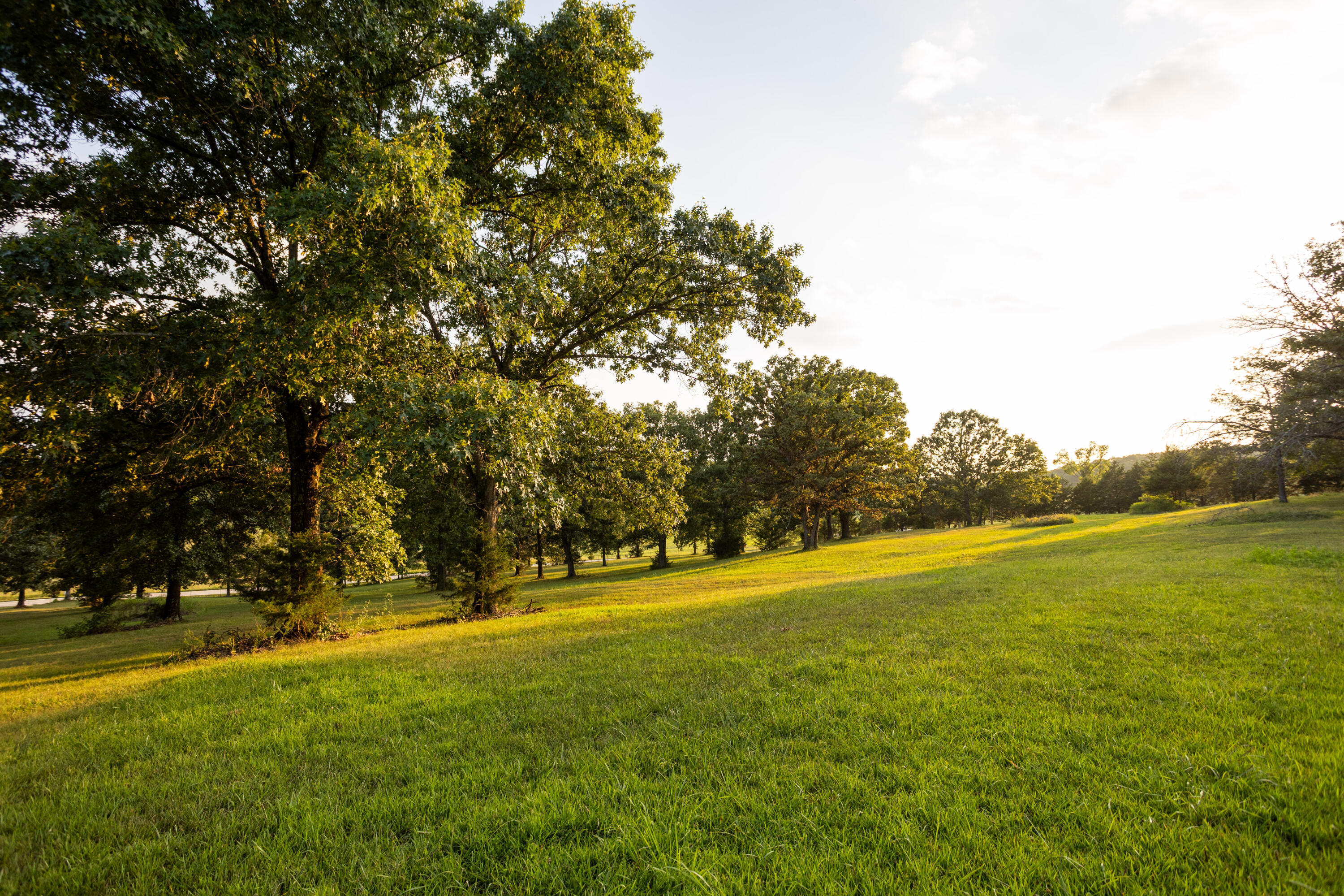 Photo 31 - Land for sale – 000  Missouri 125 S   Garrison, MO