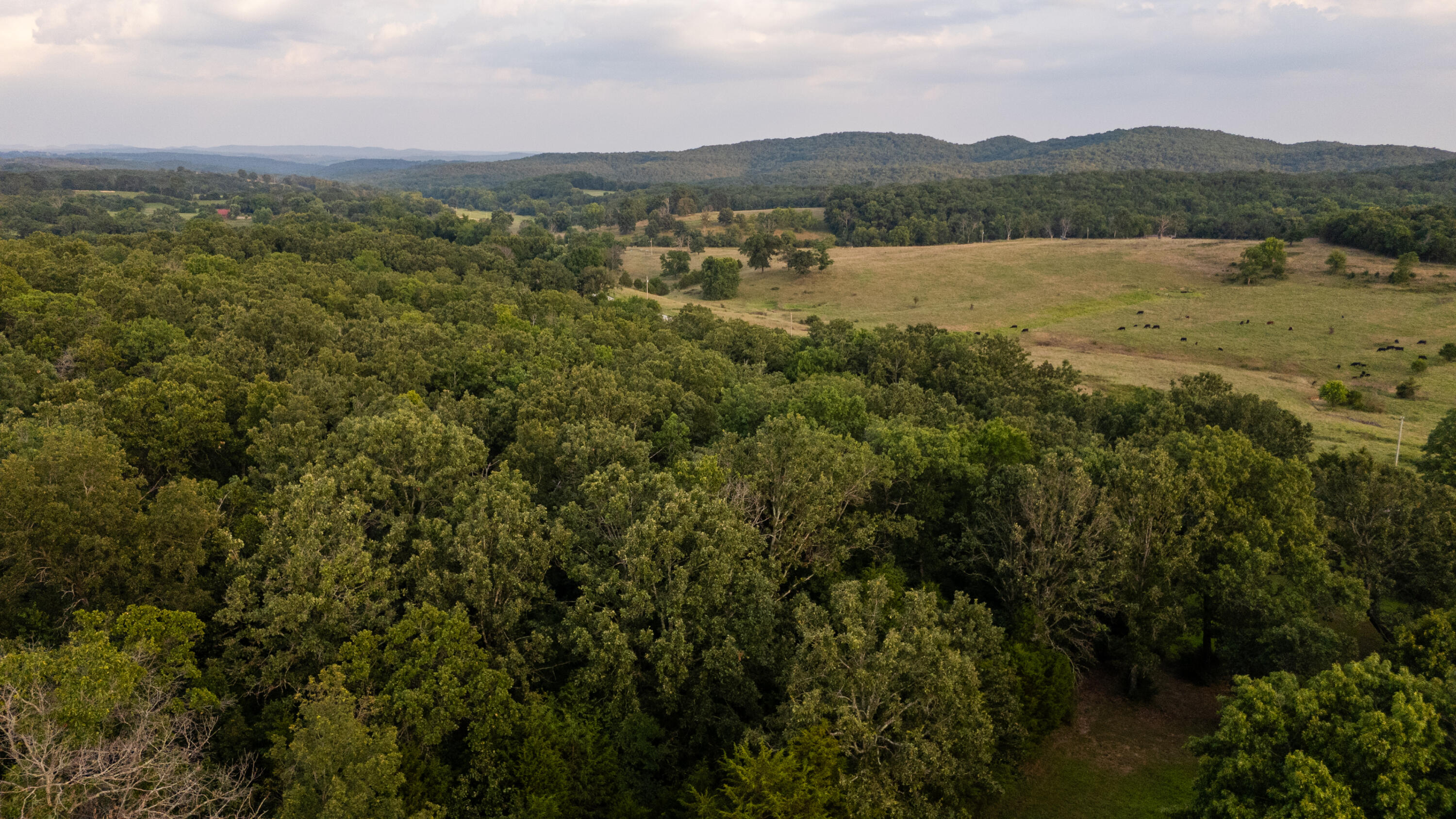 Photo 17 - Land for sale – 000  Missouri 125 S   Garrison, MO