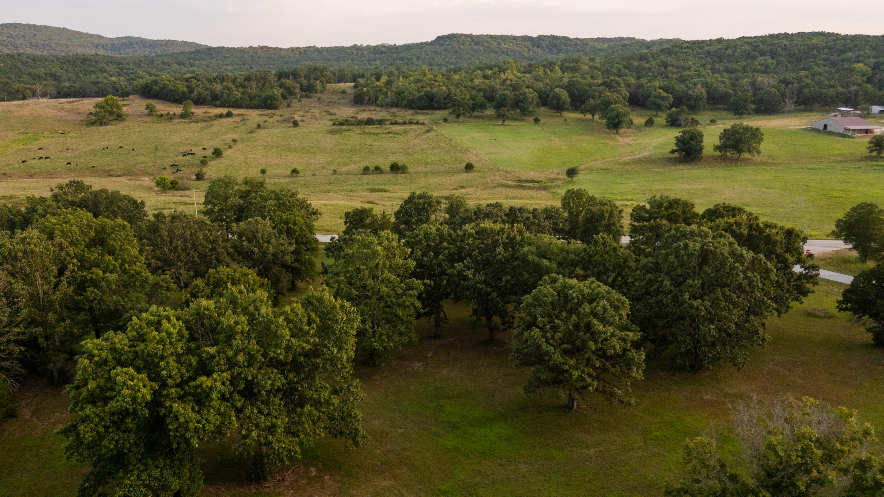 Photo 16 - Land for sale – 000  Missouri 125 S   Garrison, MO