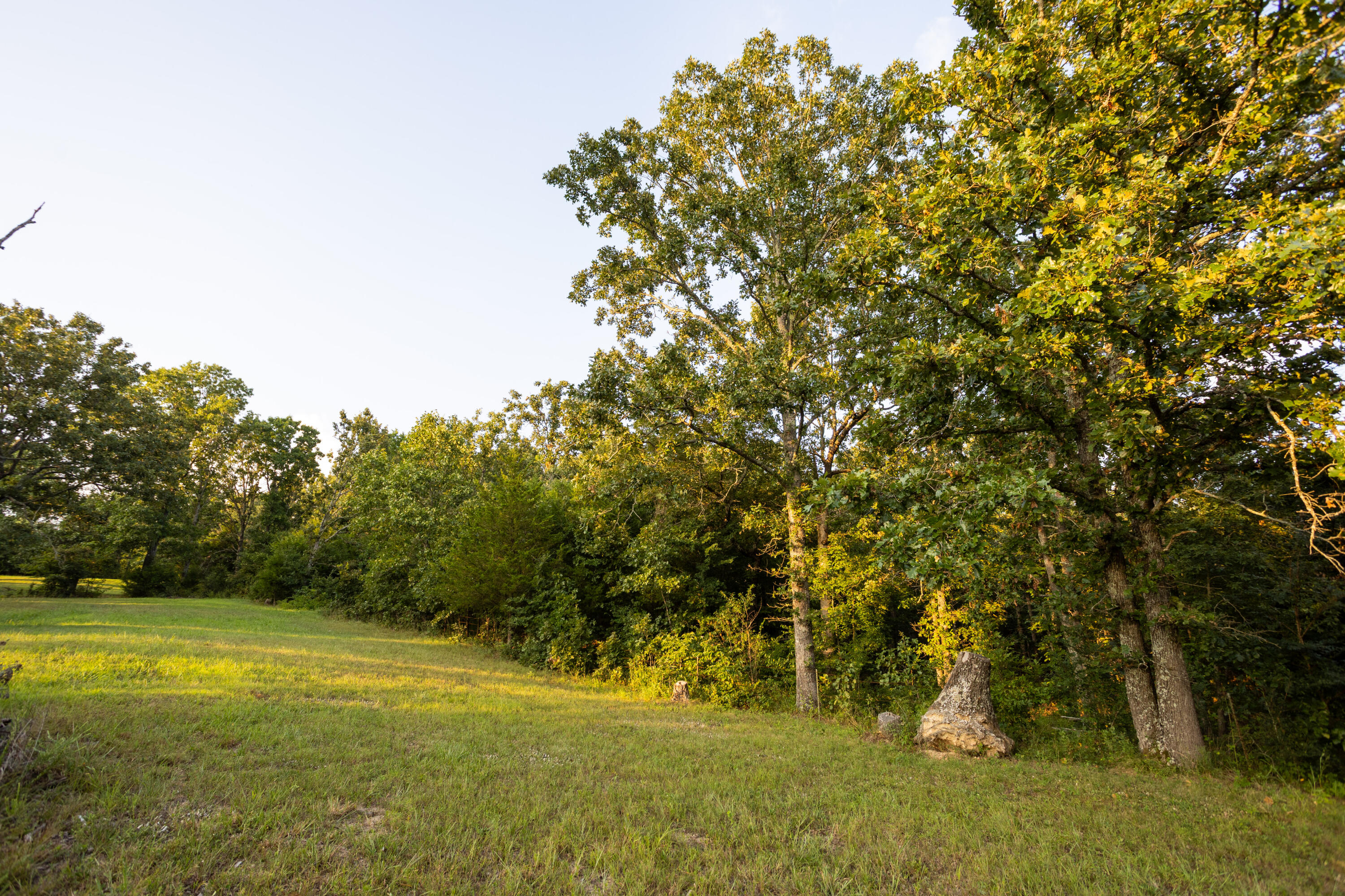 Photo 24 - Land for sale – 000  Missouri 125 S   Garrison, MO