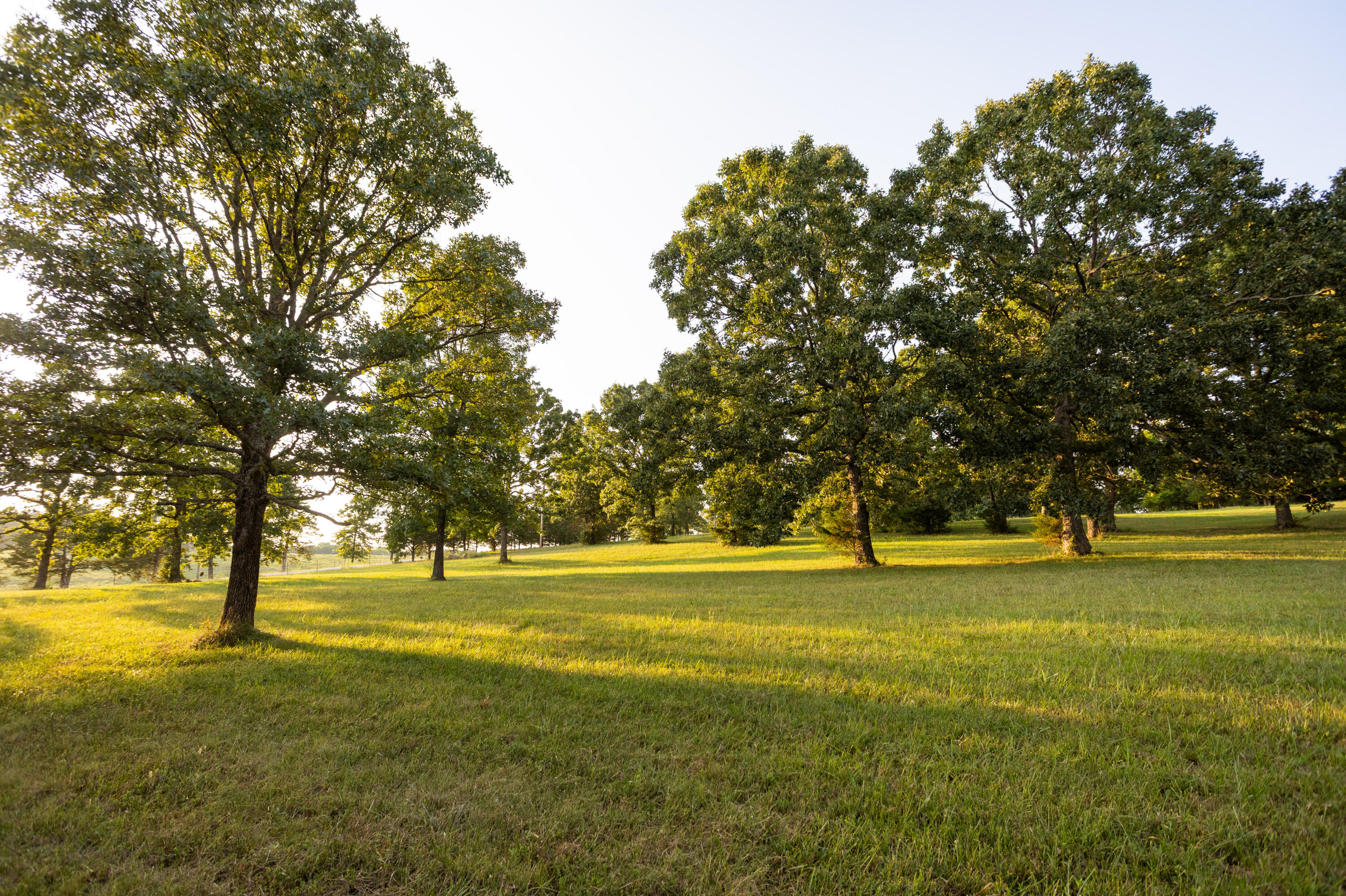 Photo 20 - Land for sale – 000  Missouri 125 S   Garrison, MO