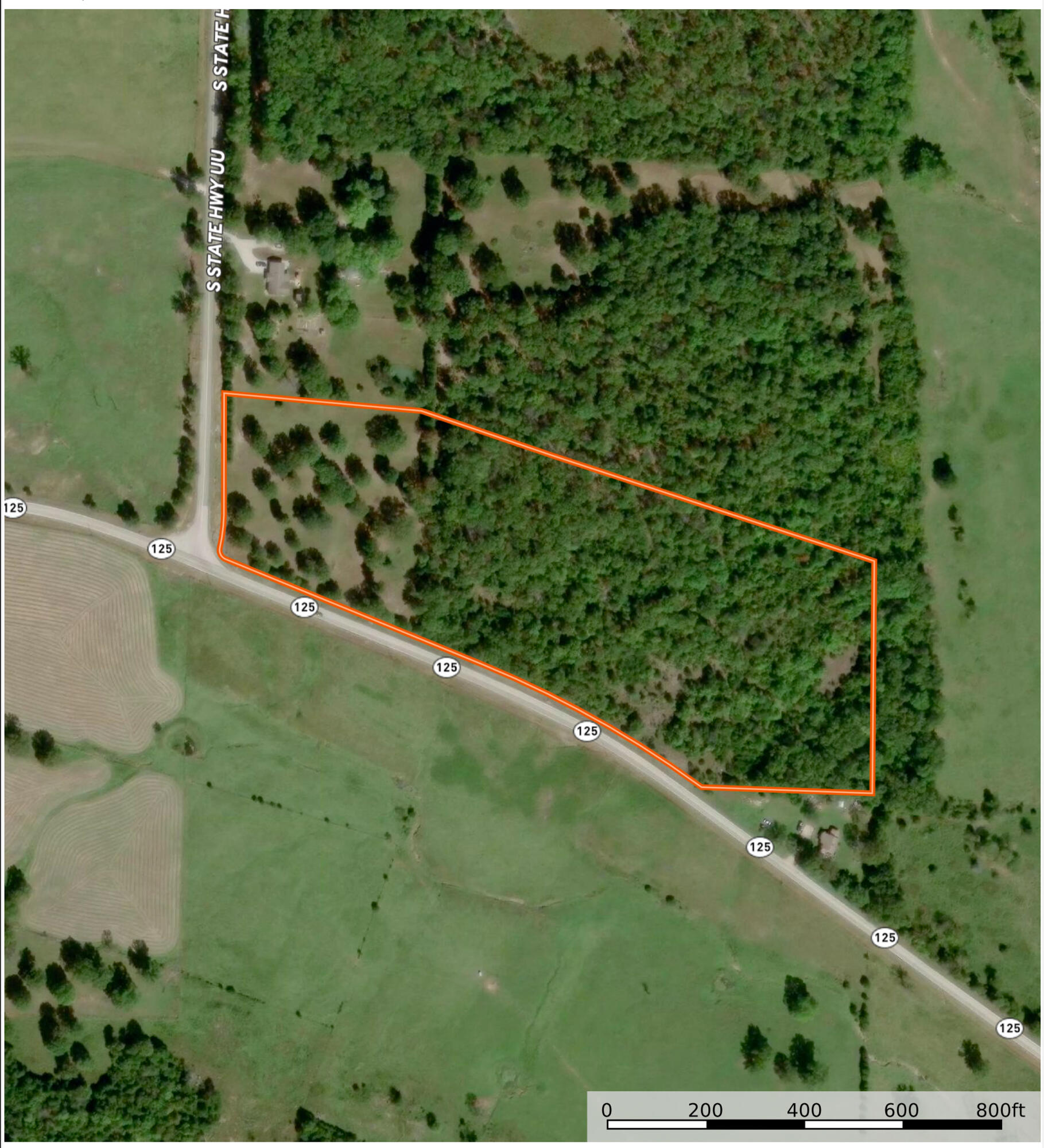 Photo 4 - Land for sale – 000  Missouri 125 S   Garrison, MO