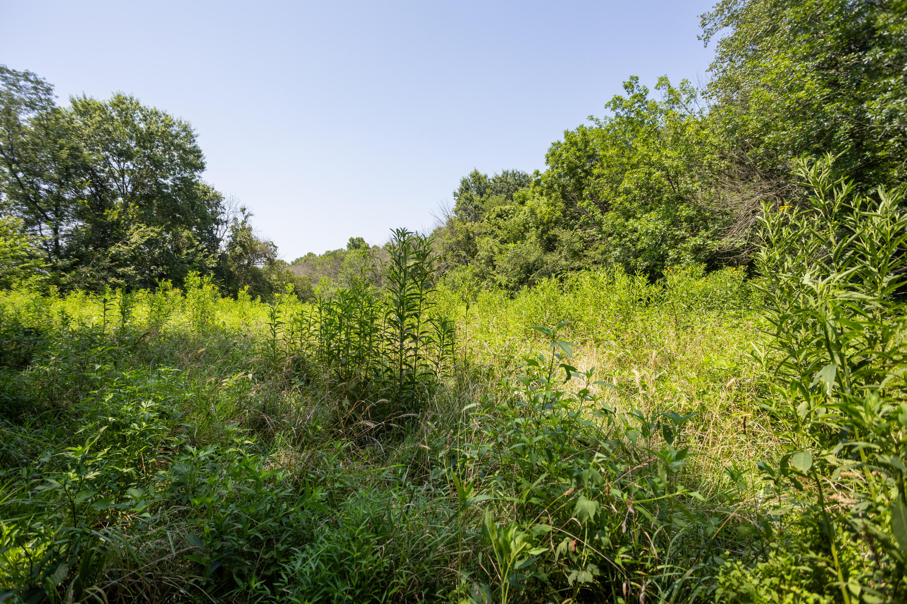 Photo 124 - Farm for sale – 1059 NE 100th Road  Sheldon, MO