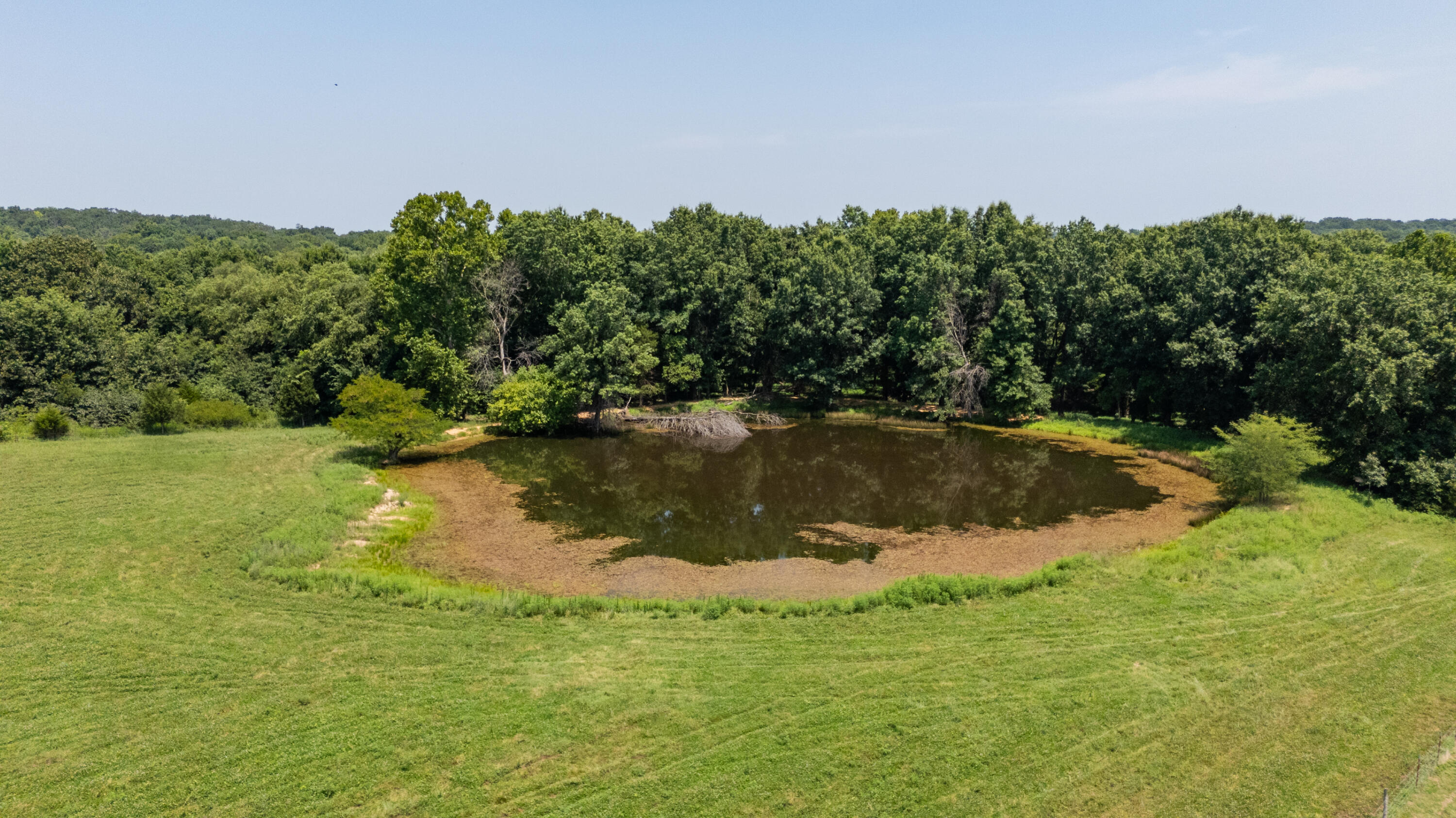 Photo 57 - Farm for sale – 1059 NE 100th Road  Sheldon, MO