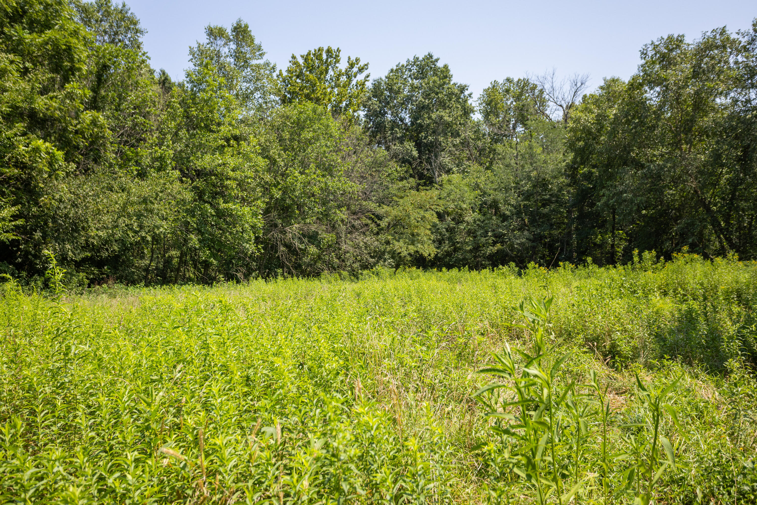 Photo 125 - Farm for sale – 1059 NE 100th Road  Sheldon, MO