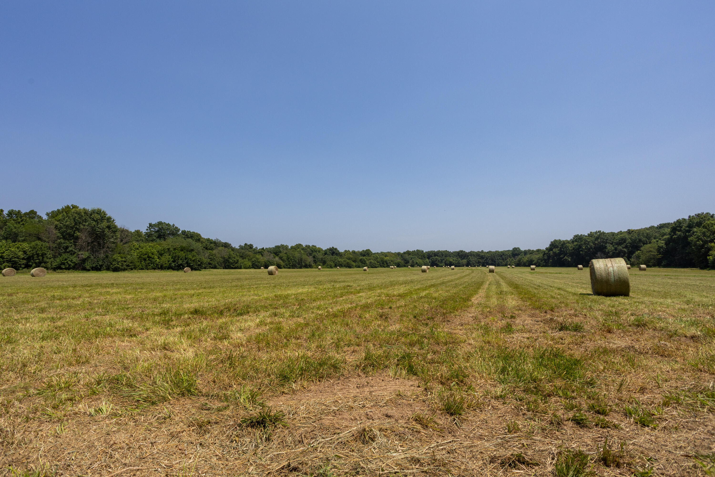 Photo 141 - Farm for sale – 1059 NE 100th Road  Sheldon, MO