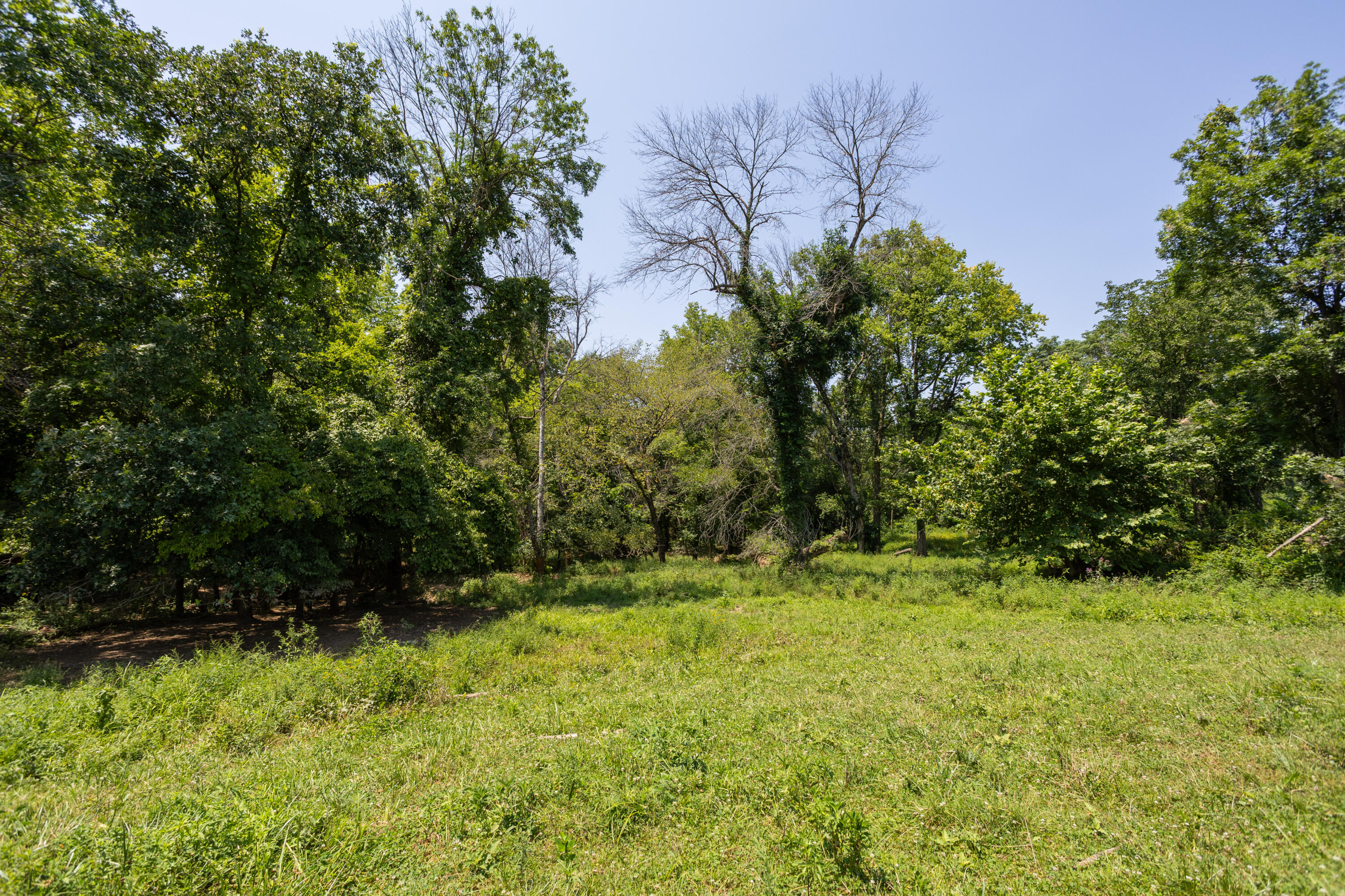 Photo 155 - Farm for sale – 1059 NE 100th Road  Sheldon, MO