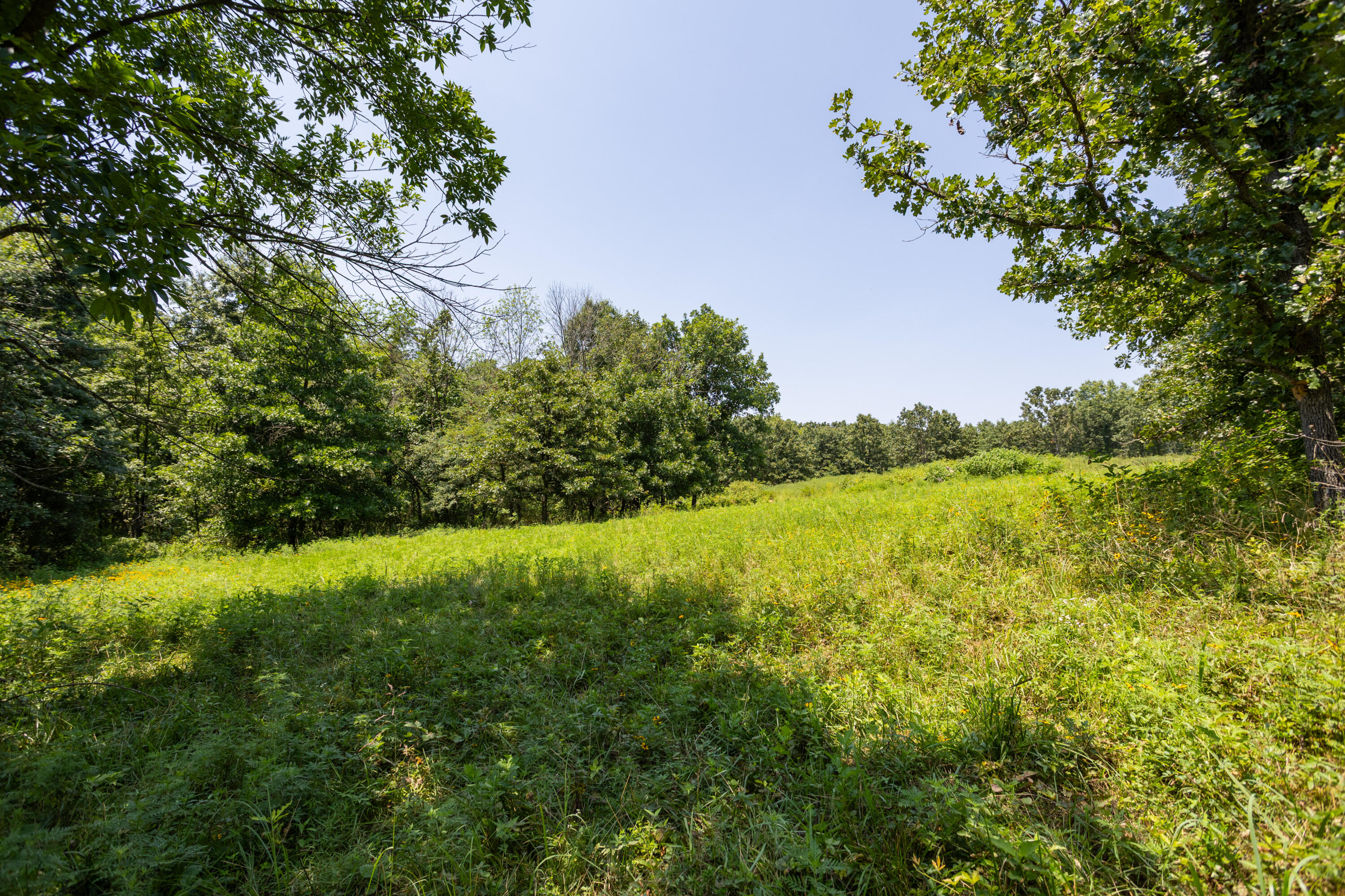 Photo 151 - Farm for sale – 1059 NE 100th Road  Sheldon, MO