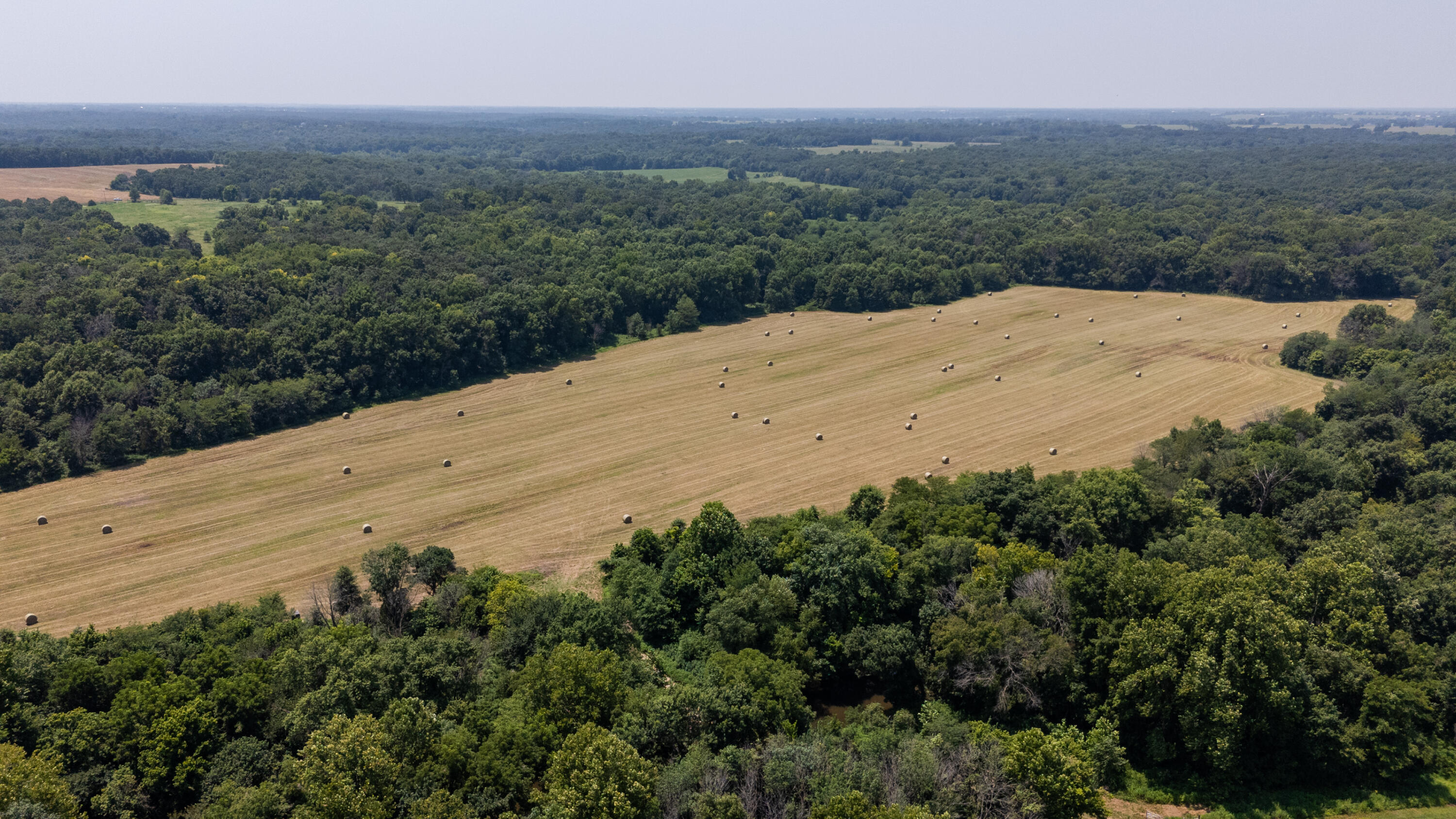 Photo 26 - Farm for sale – 1059 NE 100th Road  Sheldon, MO