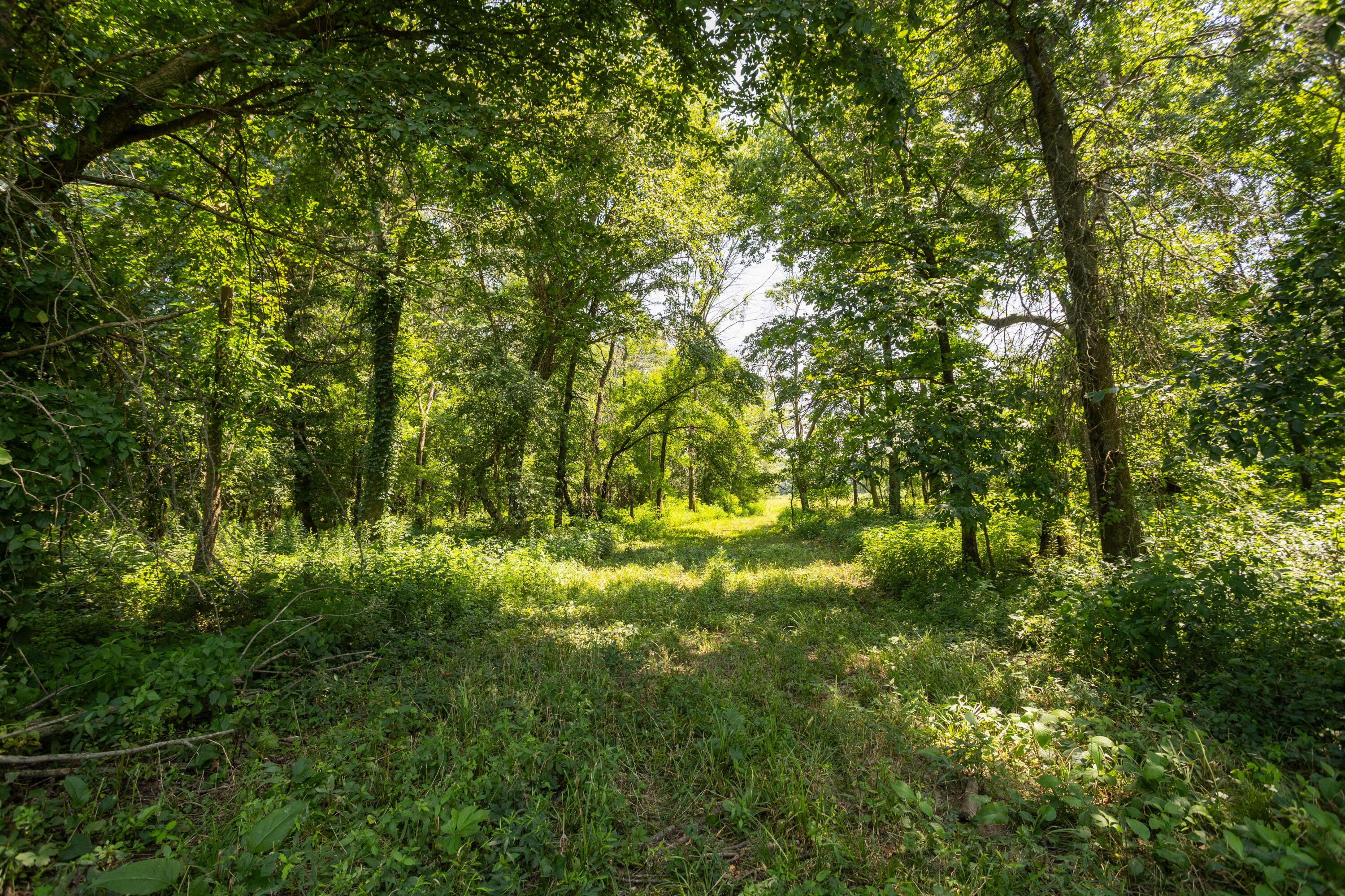 Photo 133 - Farm for sale – 1059 NE 100th Road  Sheldon, MO
