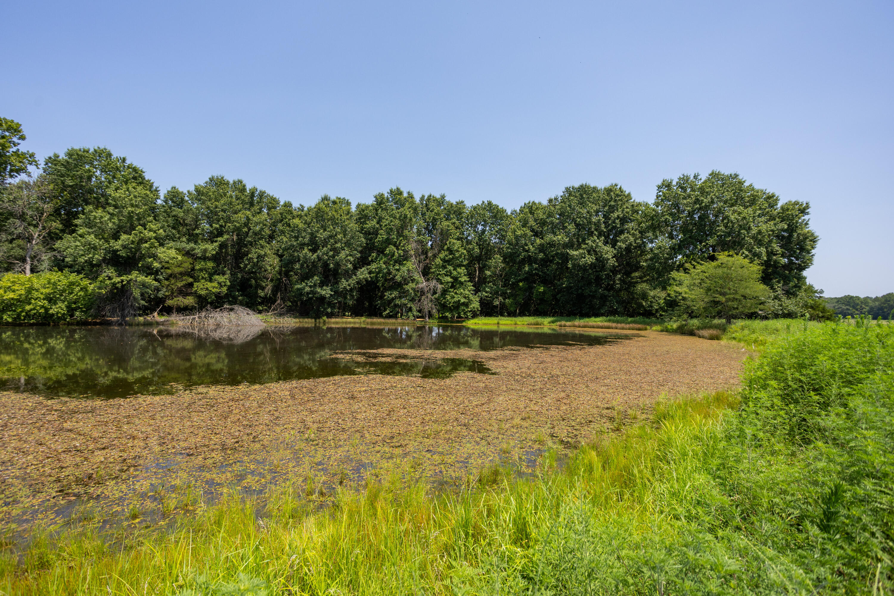 Photo 138 - Farm for sale – 1059 NE 100th Road  Sheldon, MO