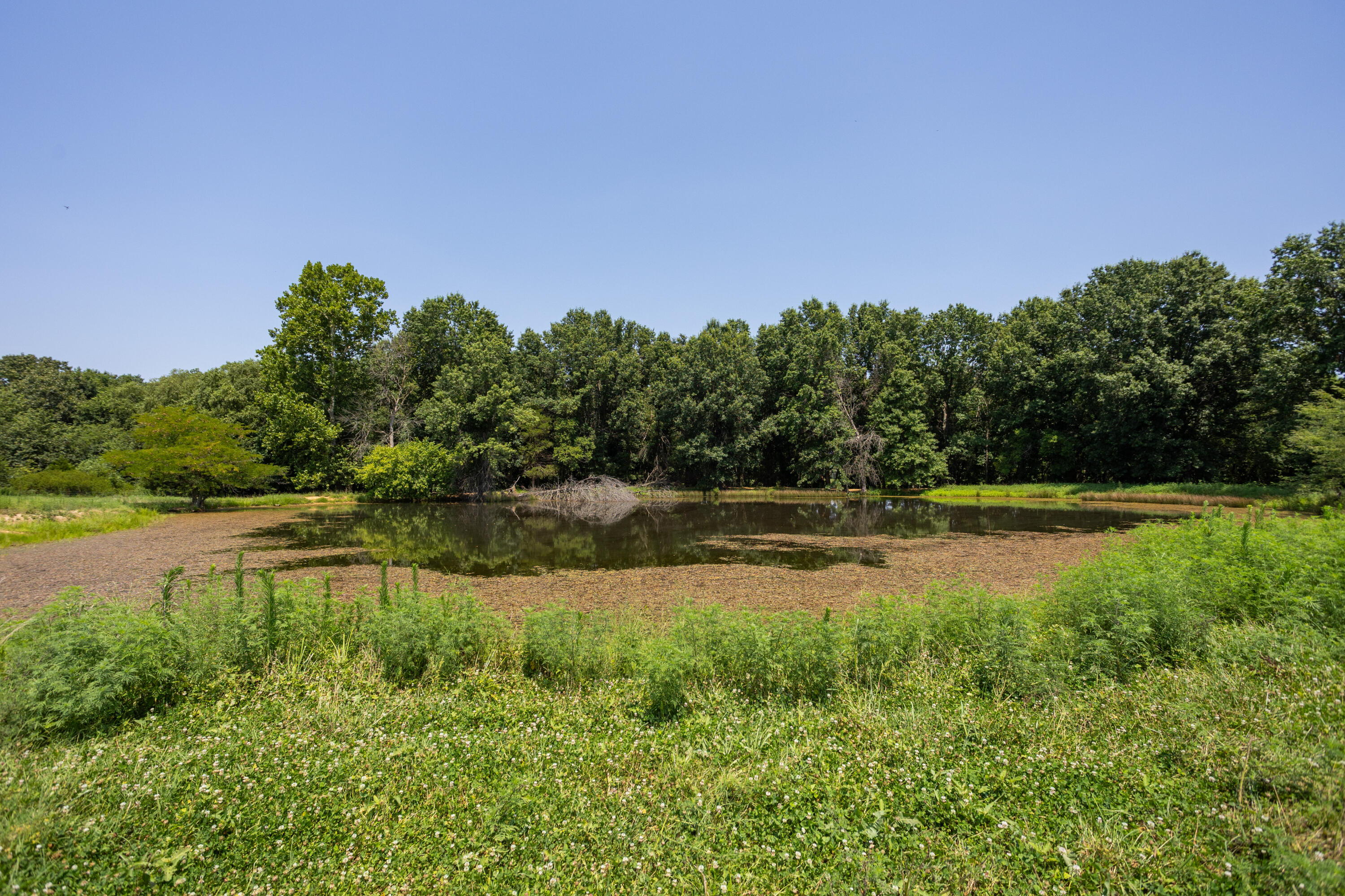 Photo 139 - Farm for sale – 1059 NE 100th Road  Sheldon, MO
