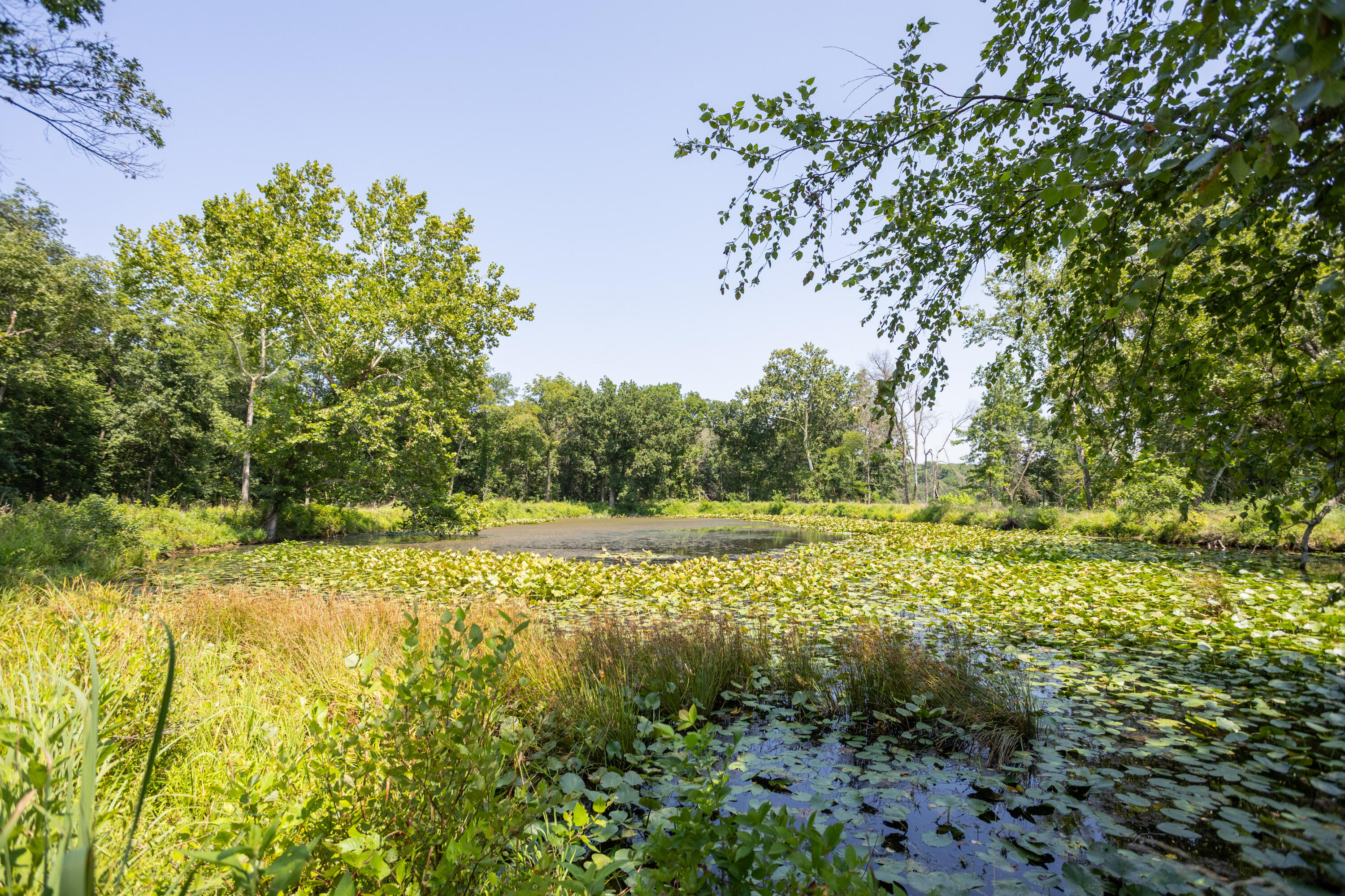Photo 117 - Farm for sale – 1059 NE 100th Road  Sheldon, MO