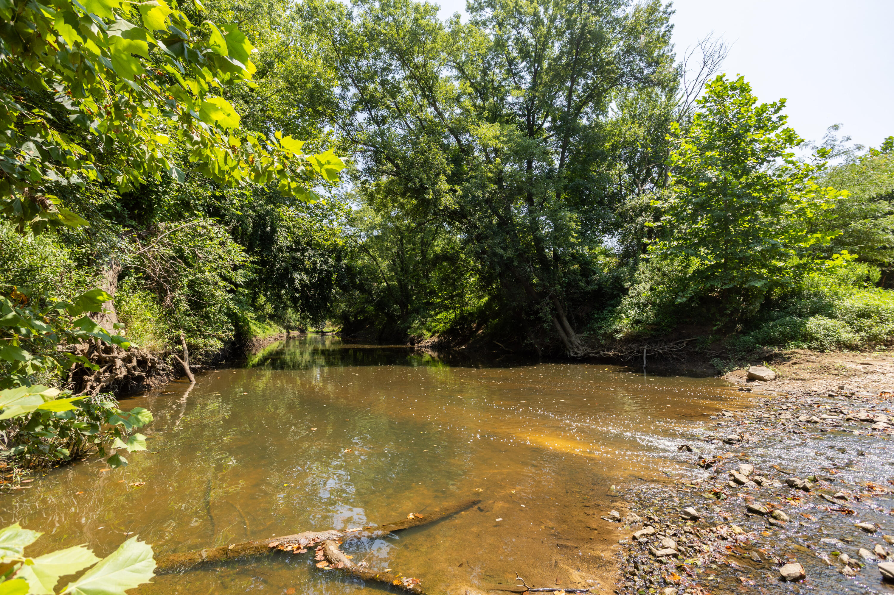 Photo 149 - Farm for sale – 1059 NE 100th Road  Sheldon, MO
